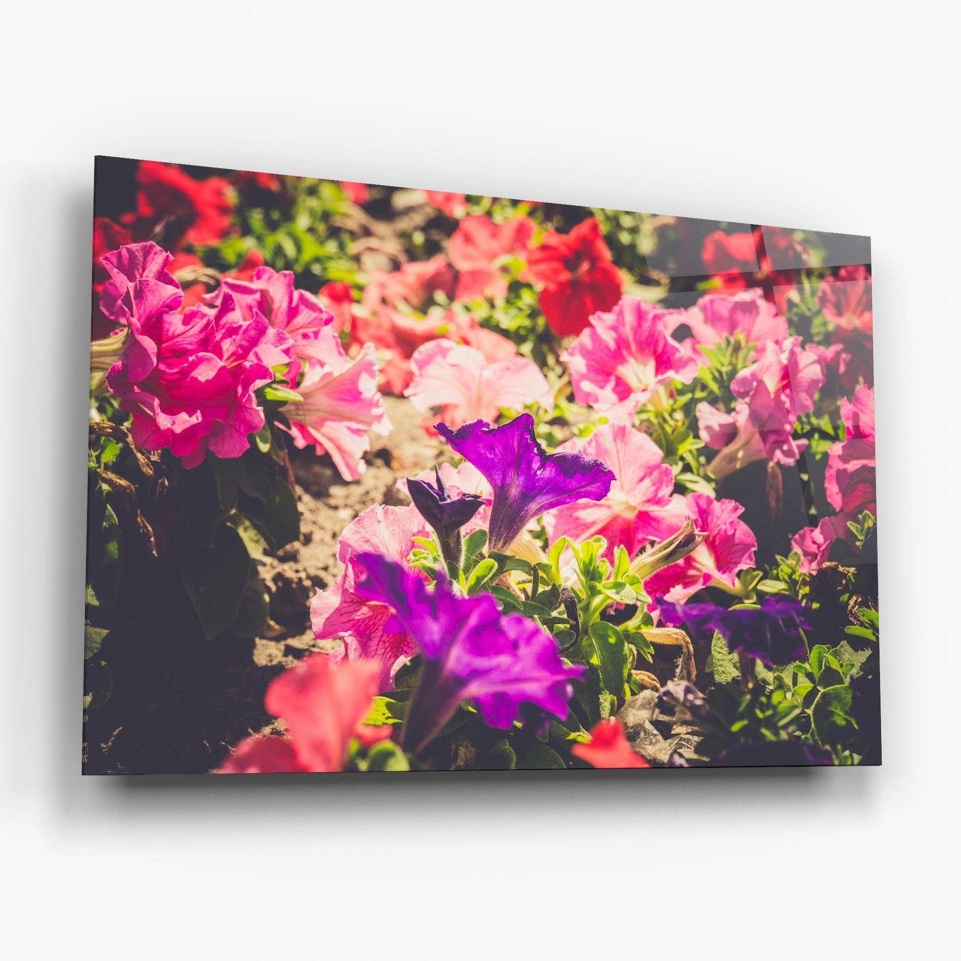 Tablou Sticla Daylight Purple Flower mockup 6