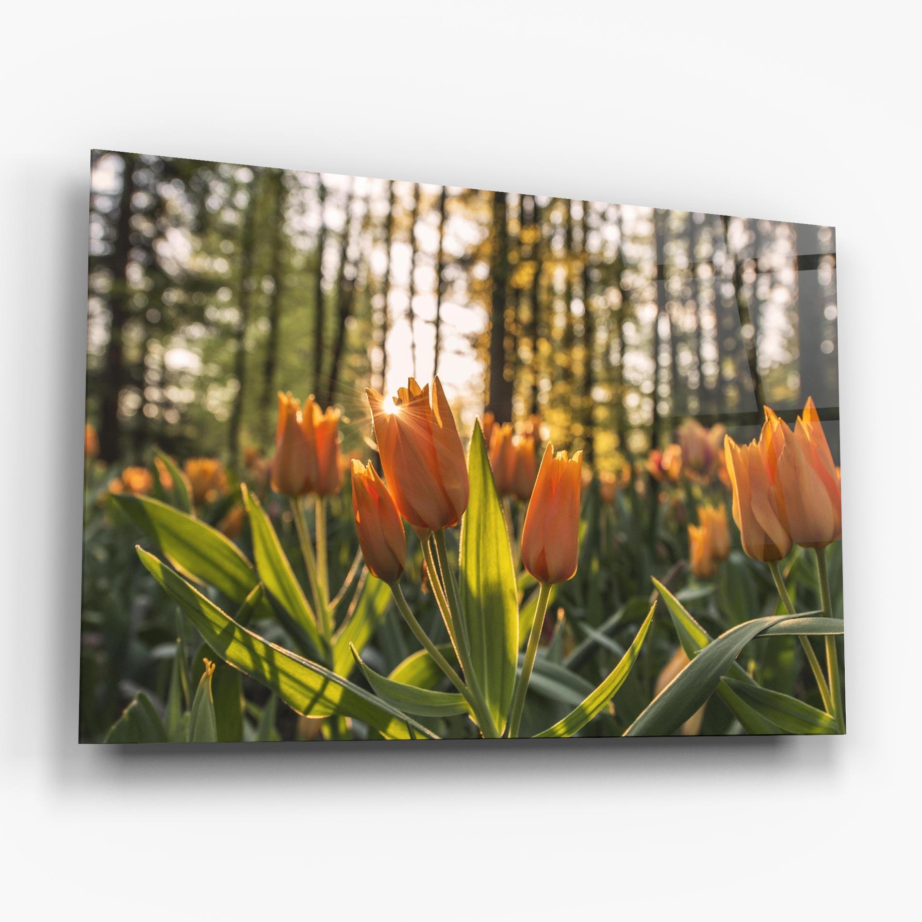 Tablou Sticla Forest Tulips mockup 6