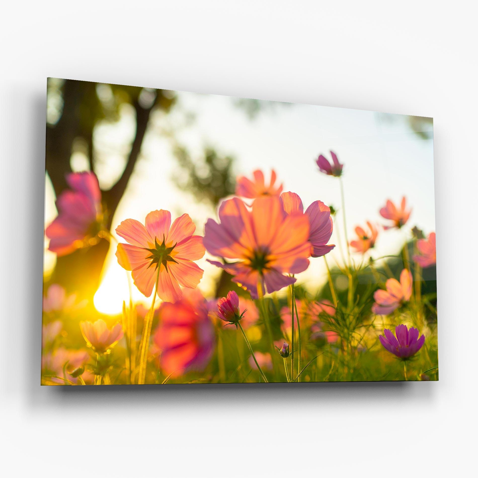 Tablou Sticla Sunset Blooming Flower mockup 6