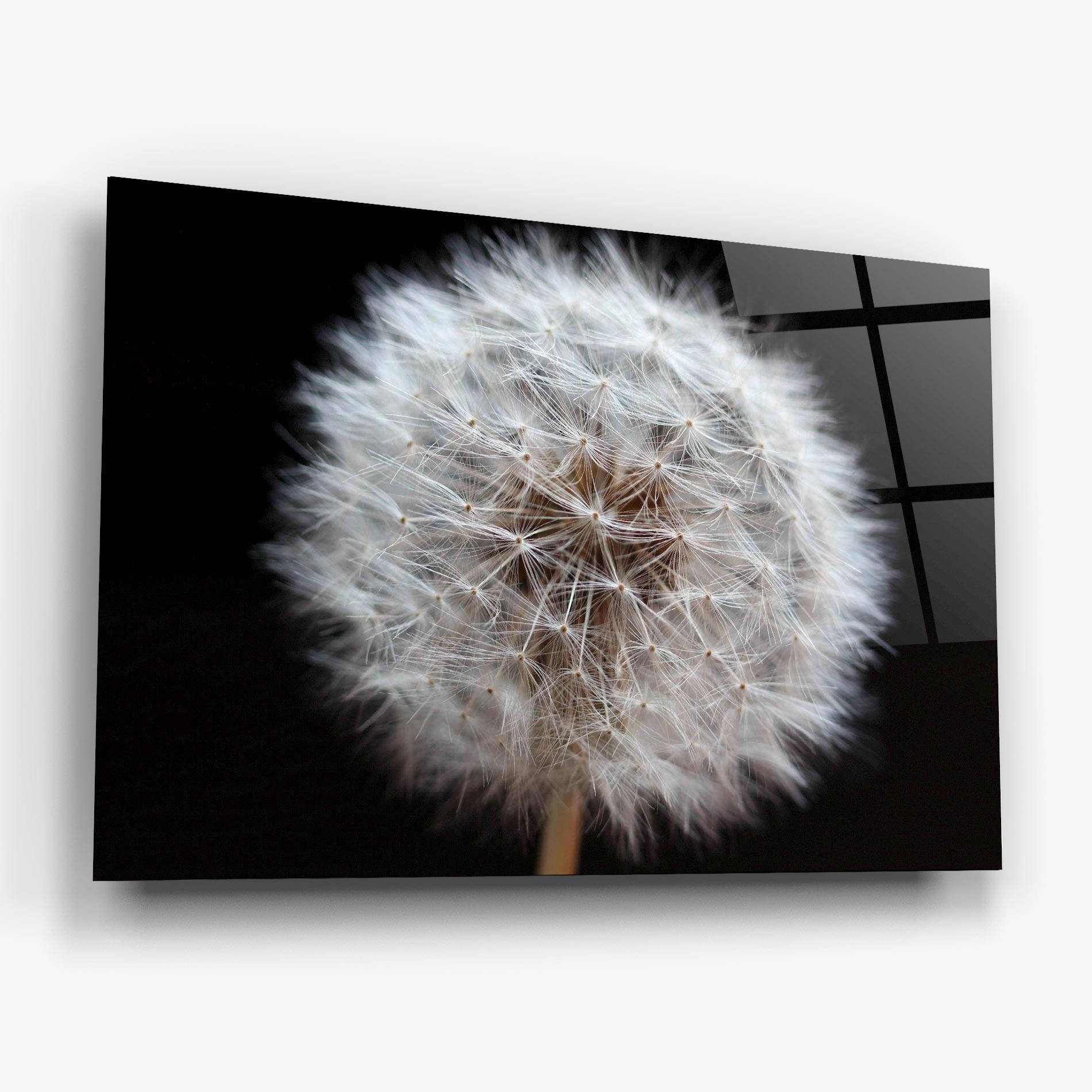 Tablou Sticla Wild Dandelion Closeup mockup 6