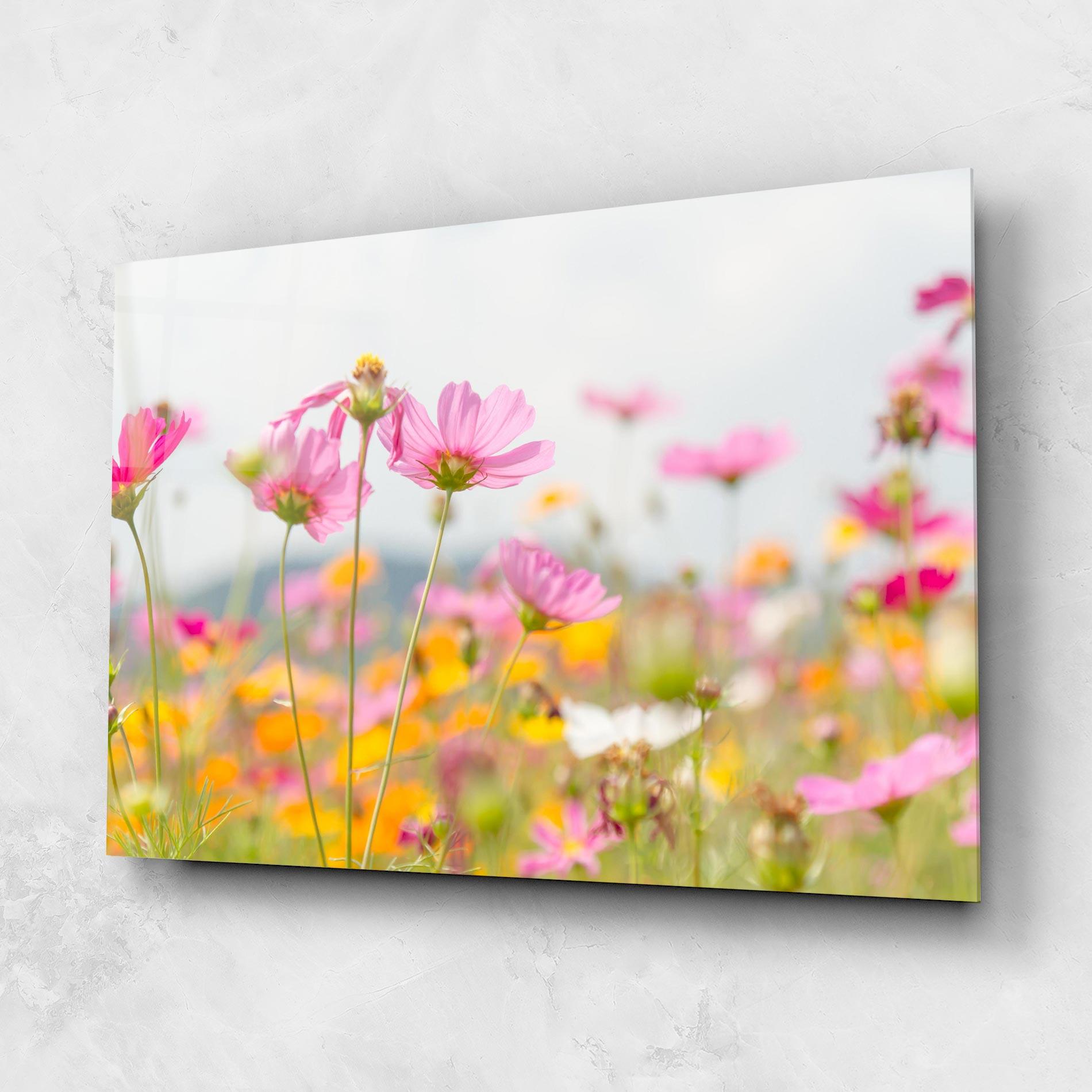 Tablou Sticla Cosmos Beauty Flowers mockup 1