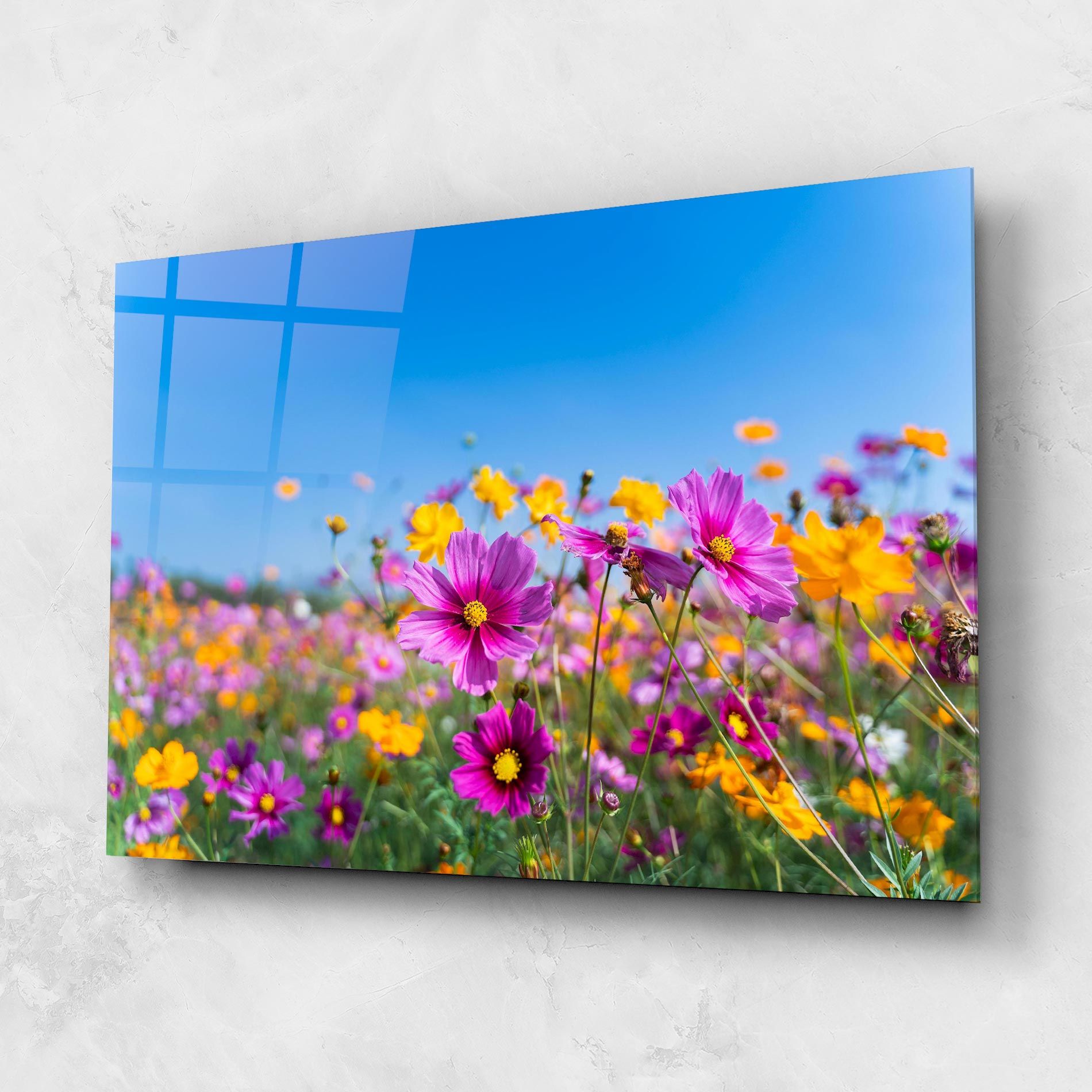 Cosmos Flowers Grassland mockup 1