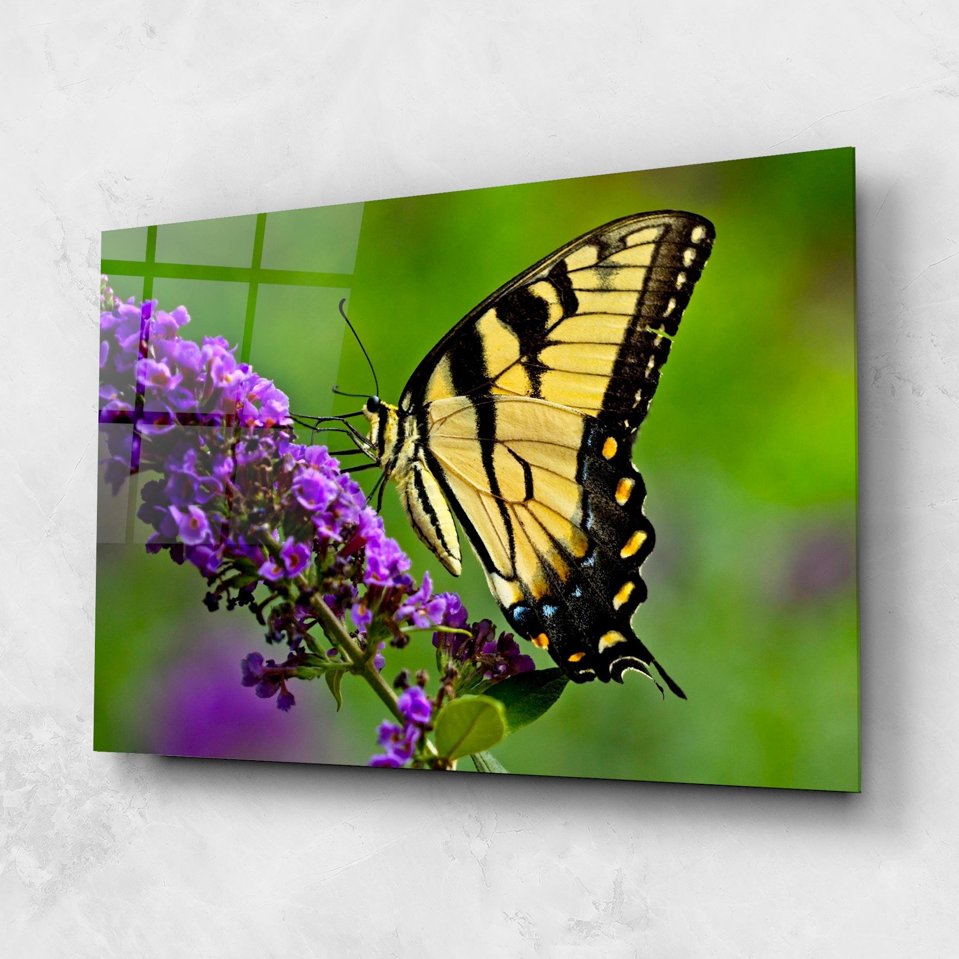 Tablou Sticla Cream Wild Butterfly mockup 1