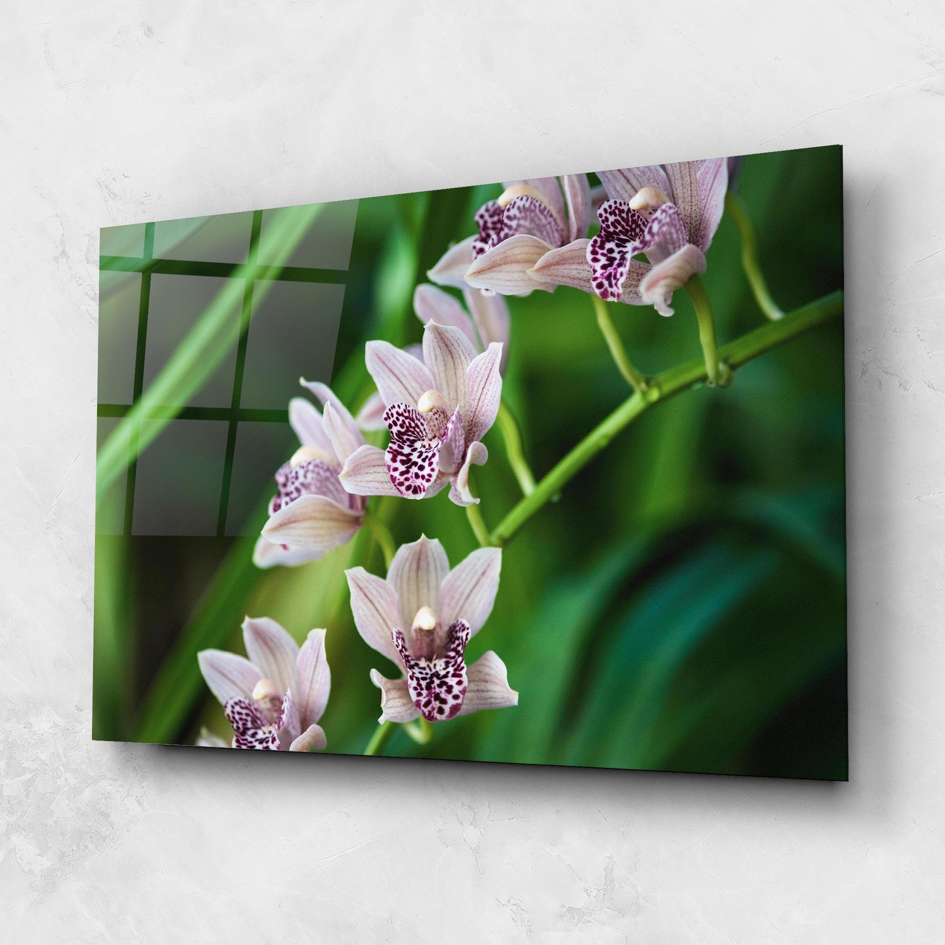Tablou Sticla Cymbidium Orchid mockup 1