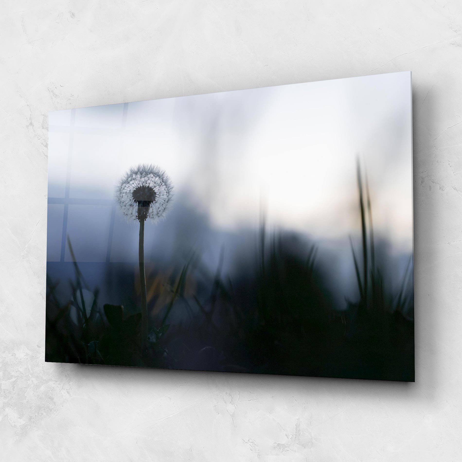 Dandelion Wild View mockup 1