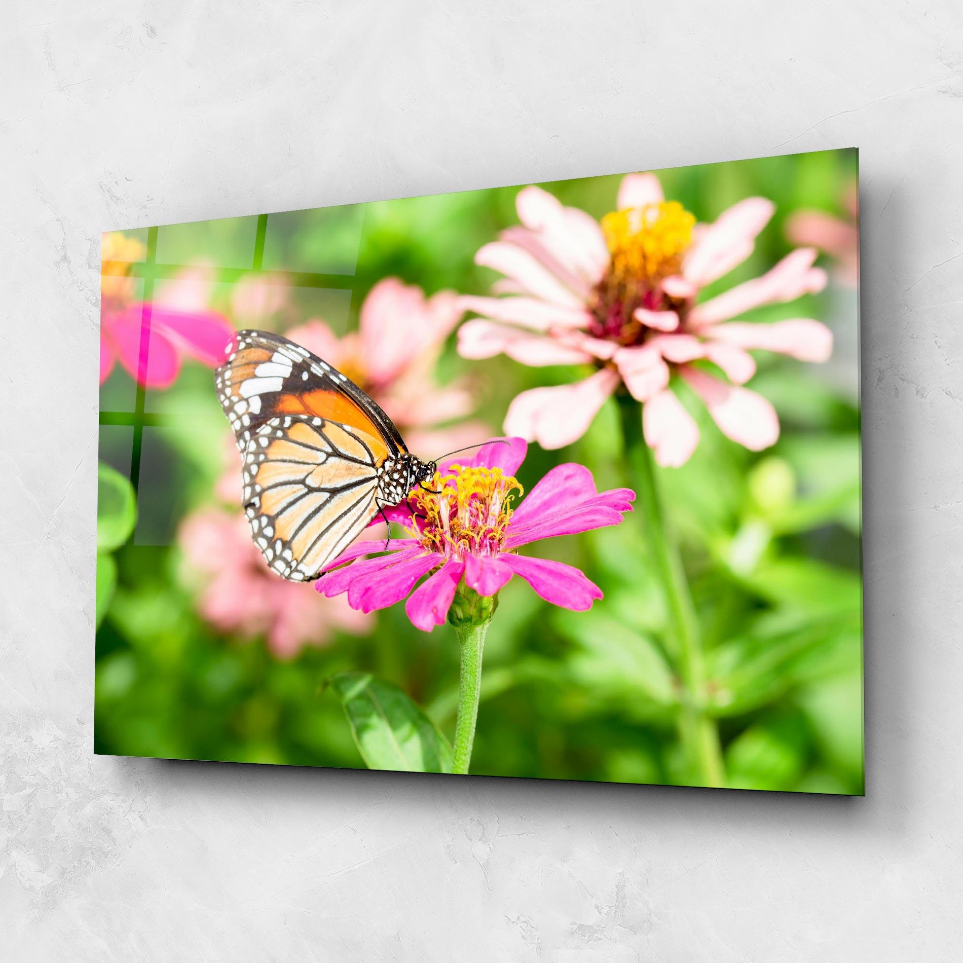 Tablou Sticla Daylight Butterfly mockup 1