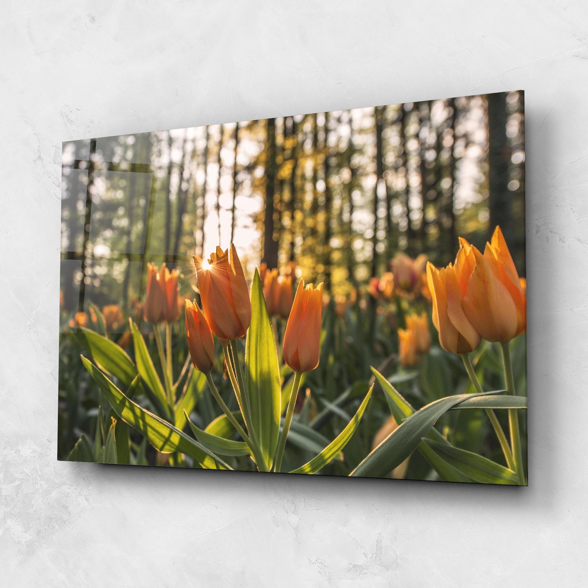 Tablou Sticla Forest Tulips mockup 1