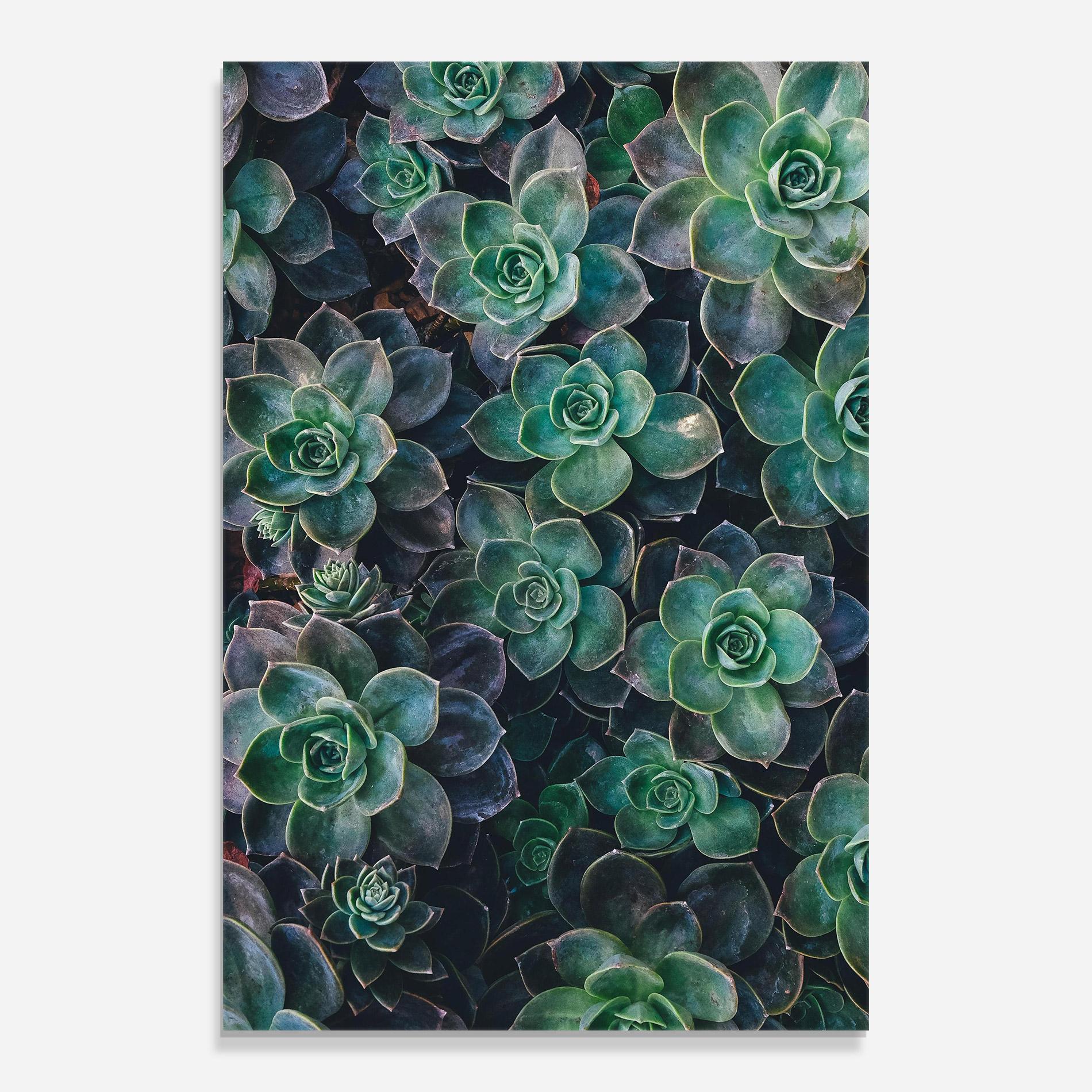 Tablou Sticla Green Lilac Tree mockup 0