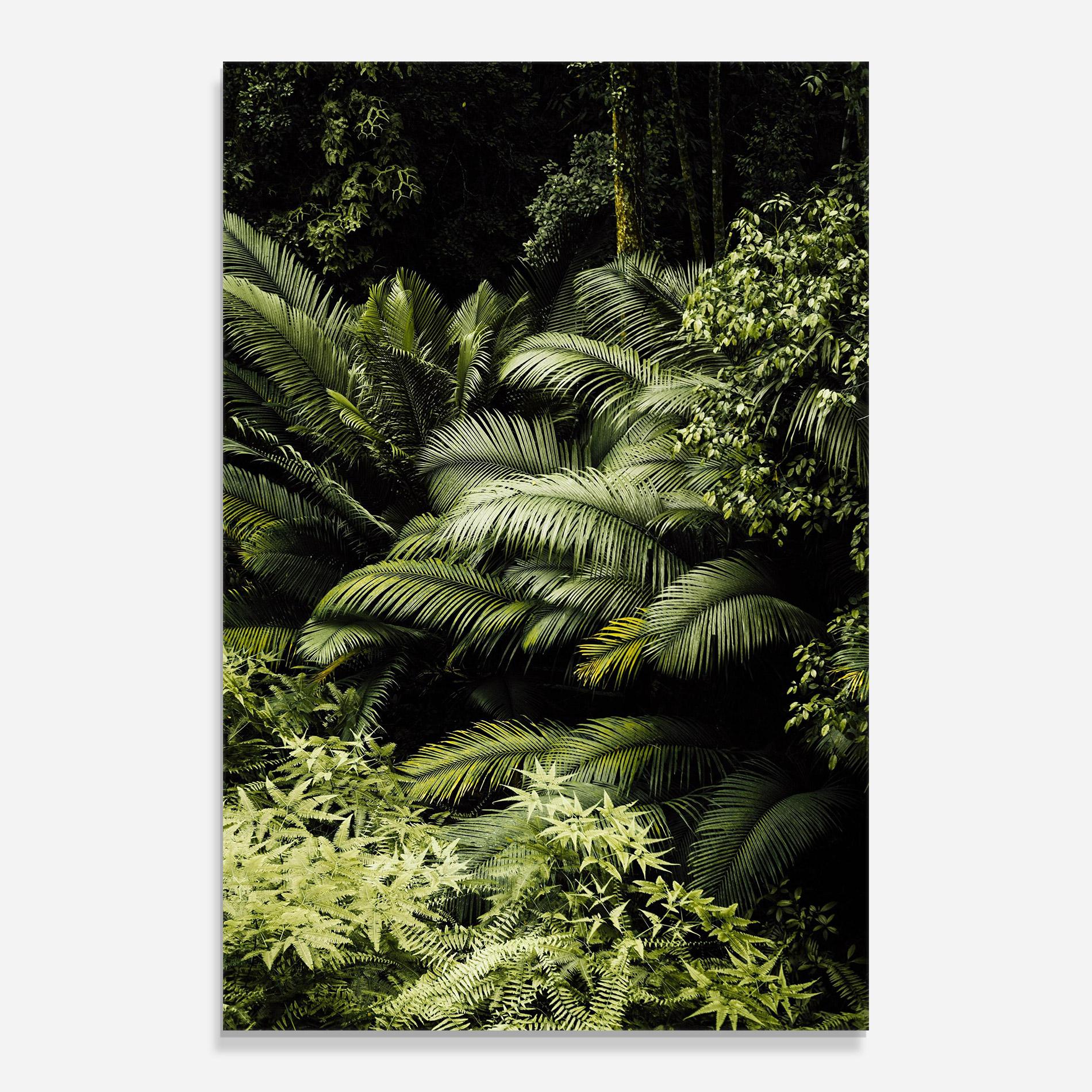 Tablou Sticla Into The Jungle mockup 0