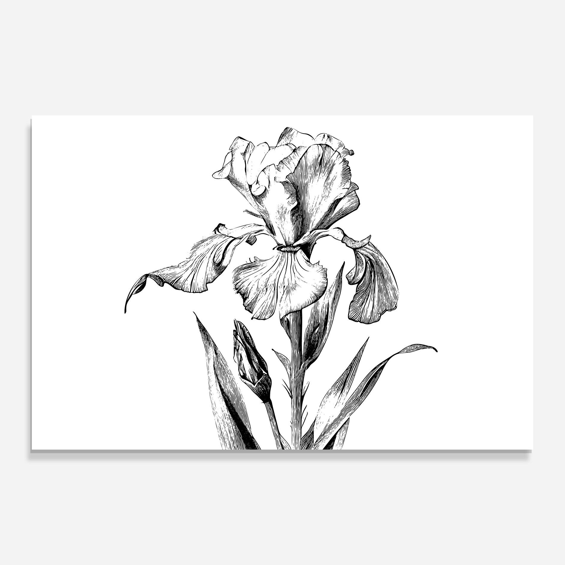 Tablou Sticla Iris Sketch mockup 0