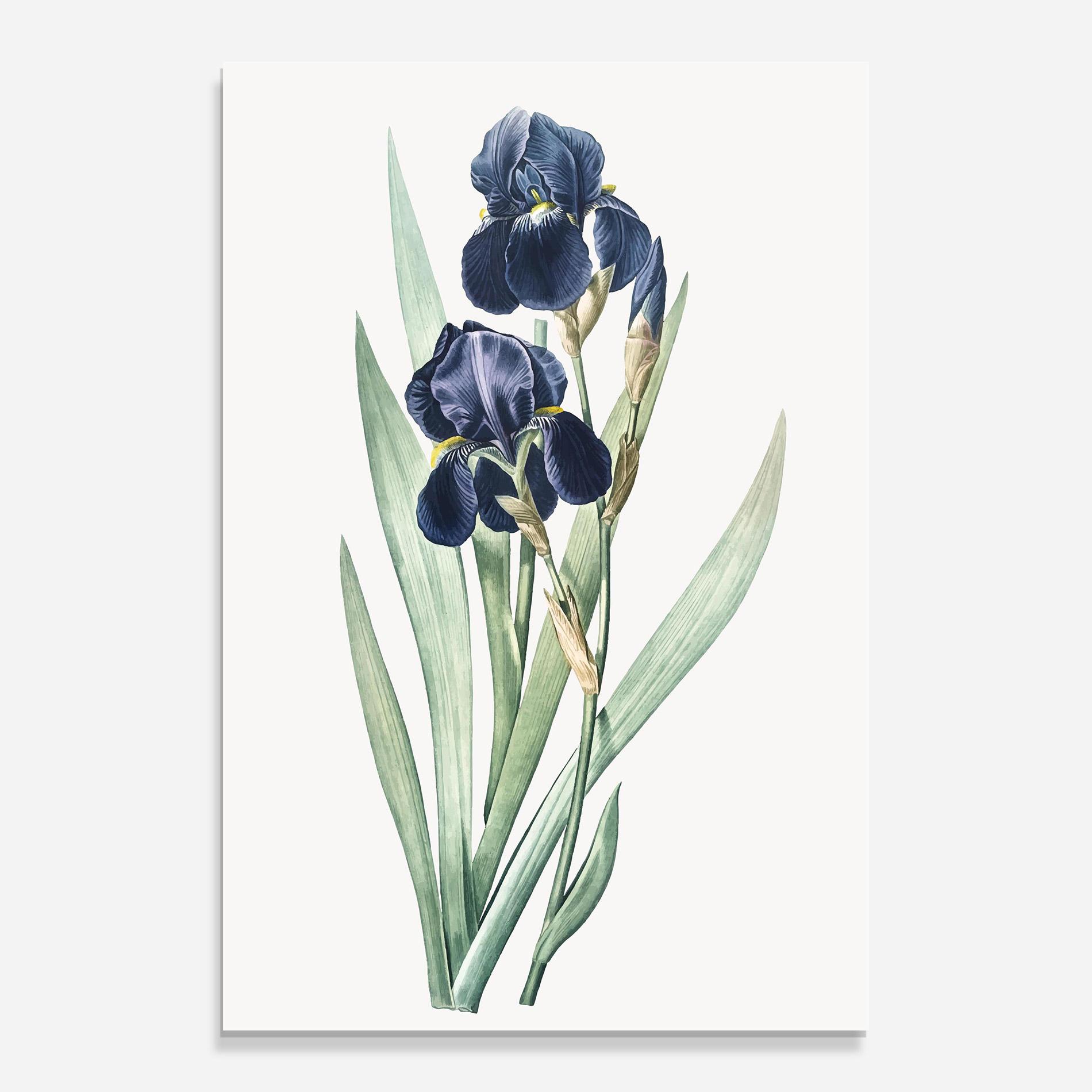Tablou Sticla Dark Blue Iris mockup 0