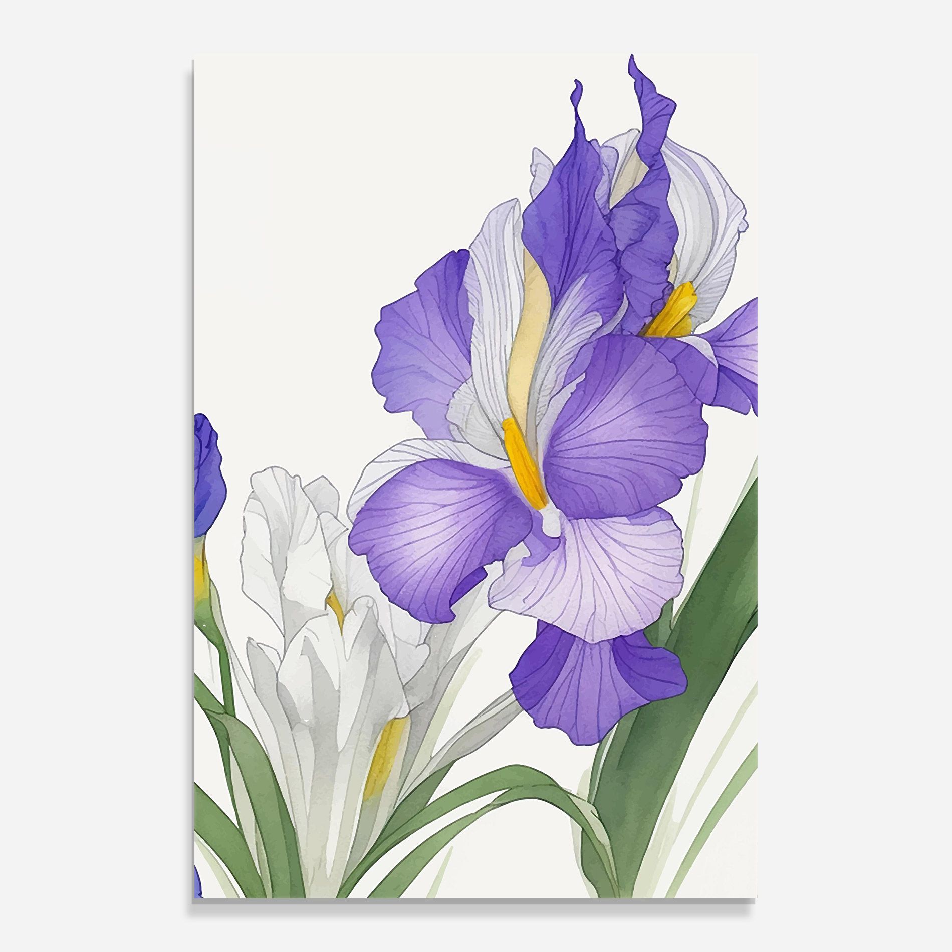 Irirs Hand Drawn mockup 0