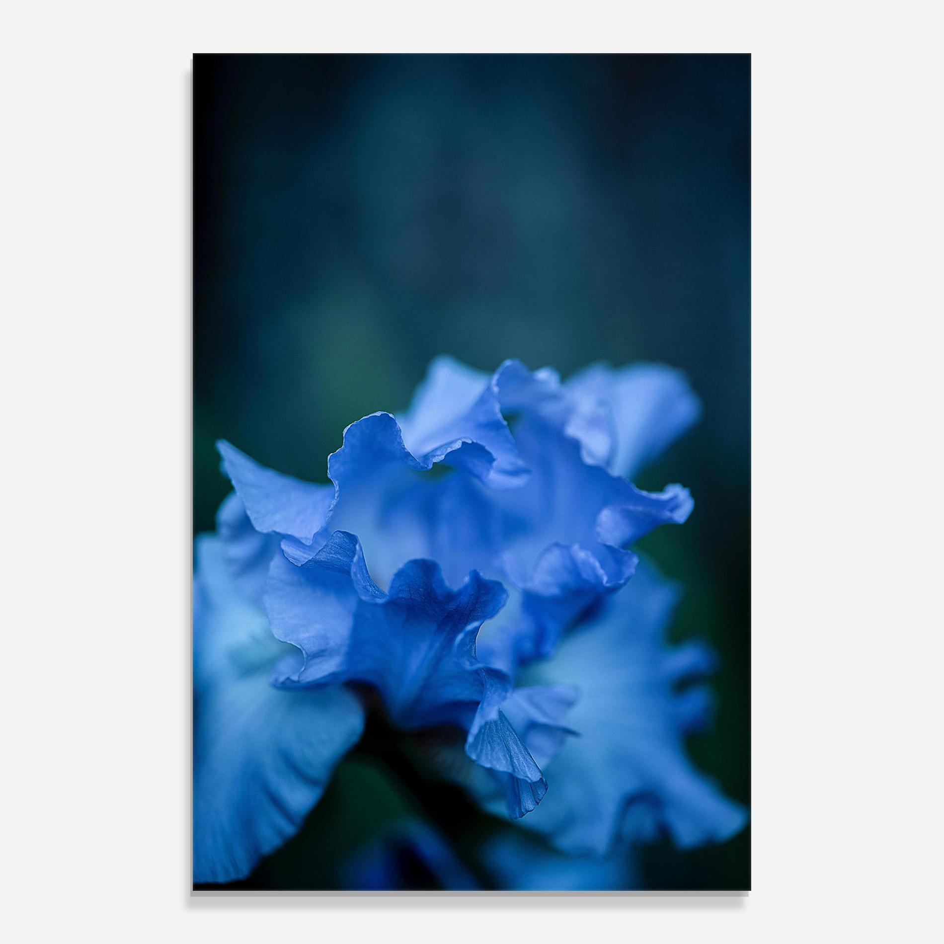 Tablou Sticla Ocean Blue Iris mockup 0
