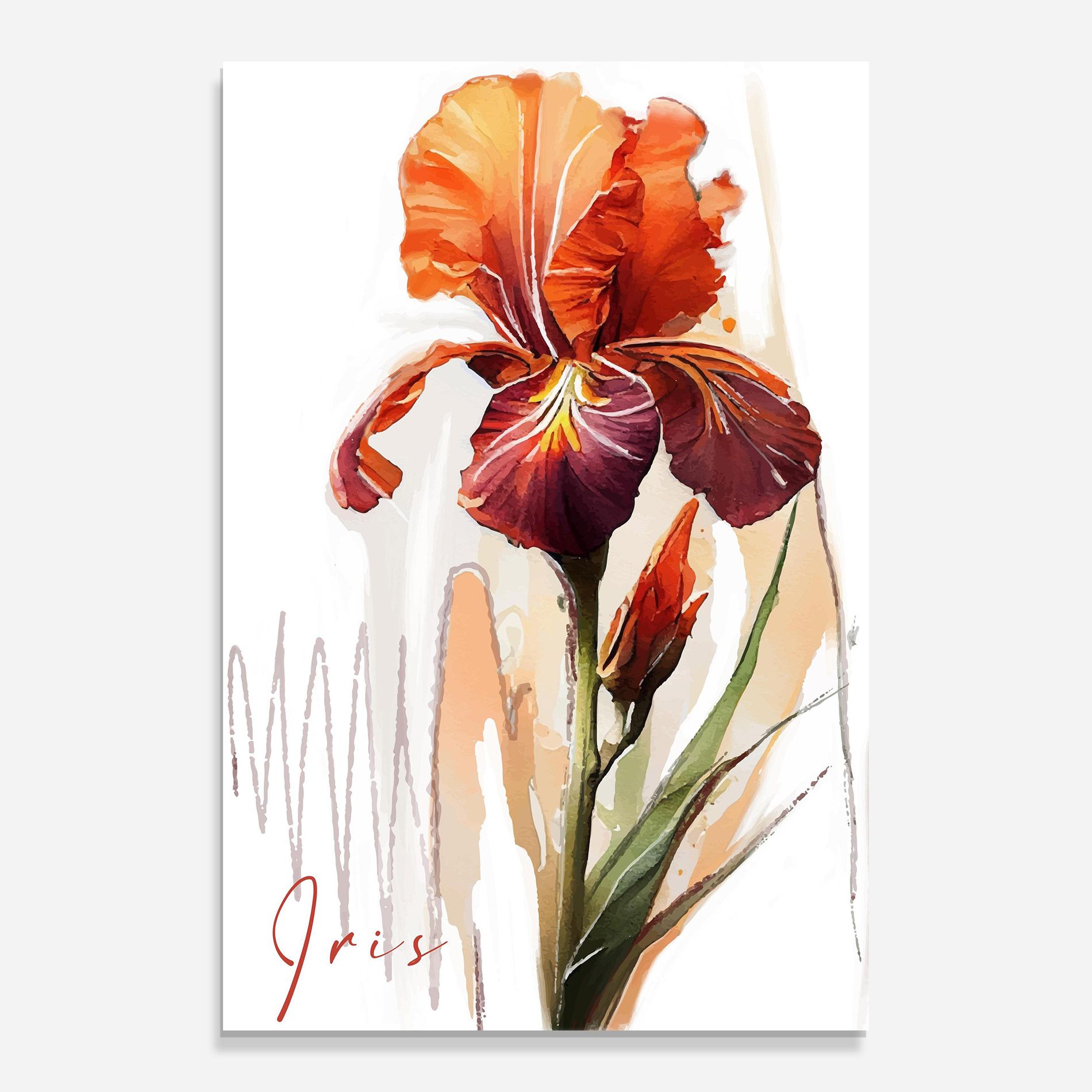 Orange Iris mockup 0