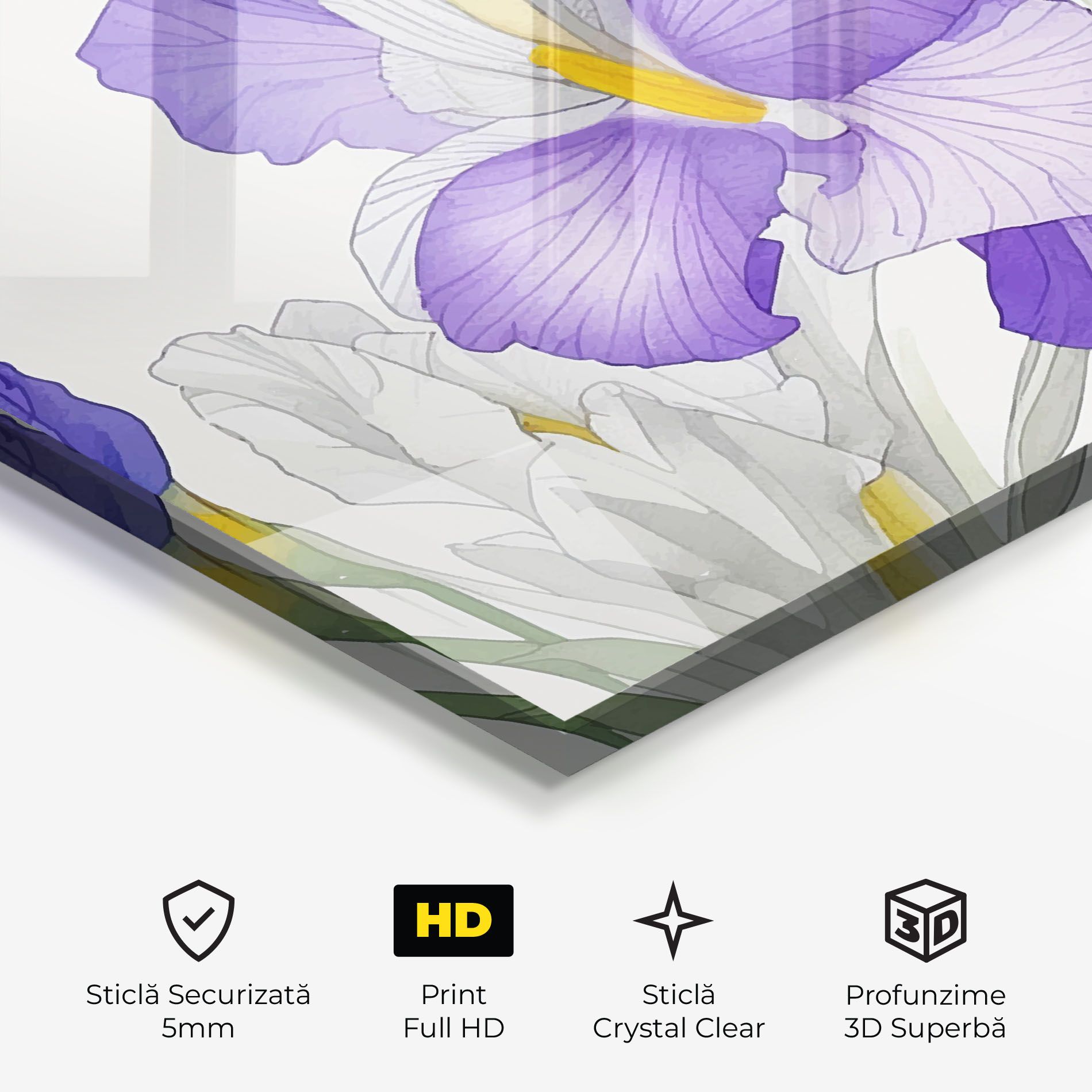 Irirs Hand Drawn mockup 3