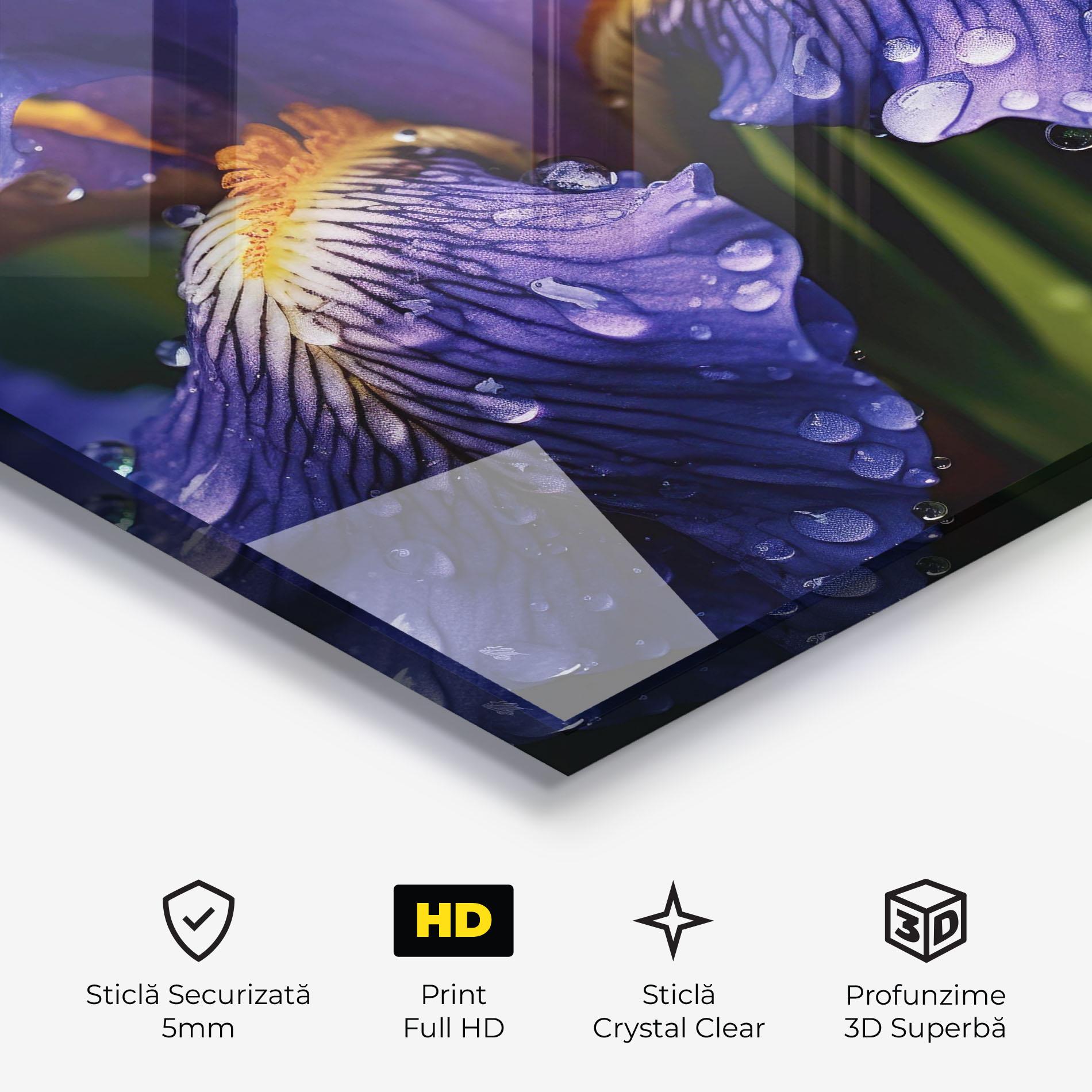 Tablou Sticla Iris After Rain mockup 3