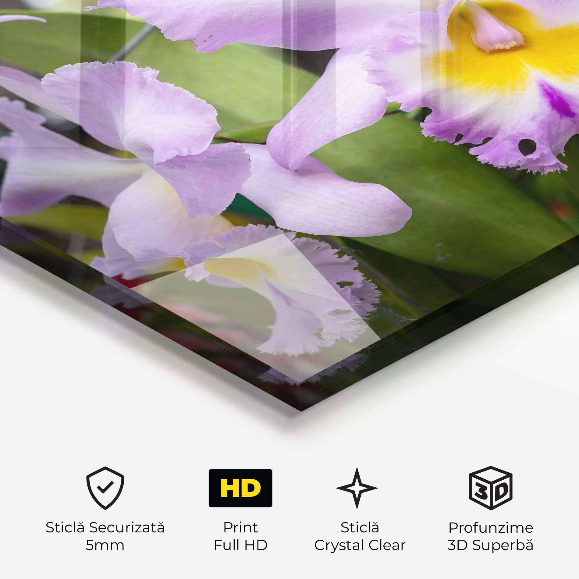 Light Purple Iris mockup 3