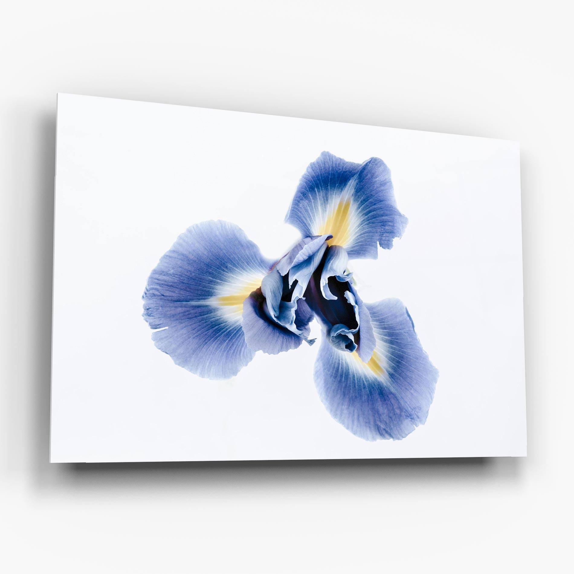 Tablou Sticla Iris Flower mockup 6