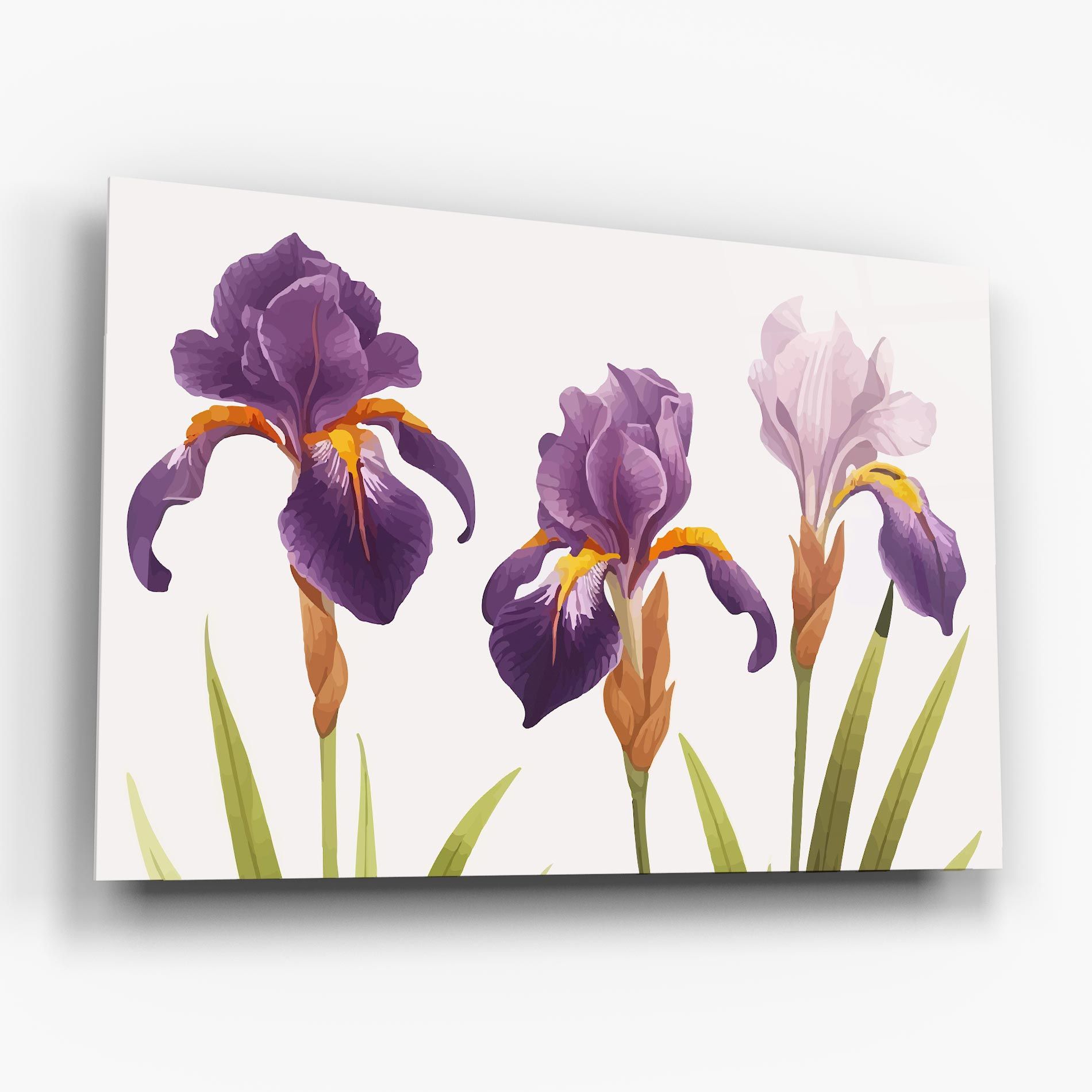 Iris Leaf mockup 6