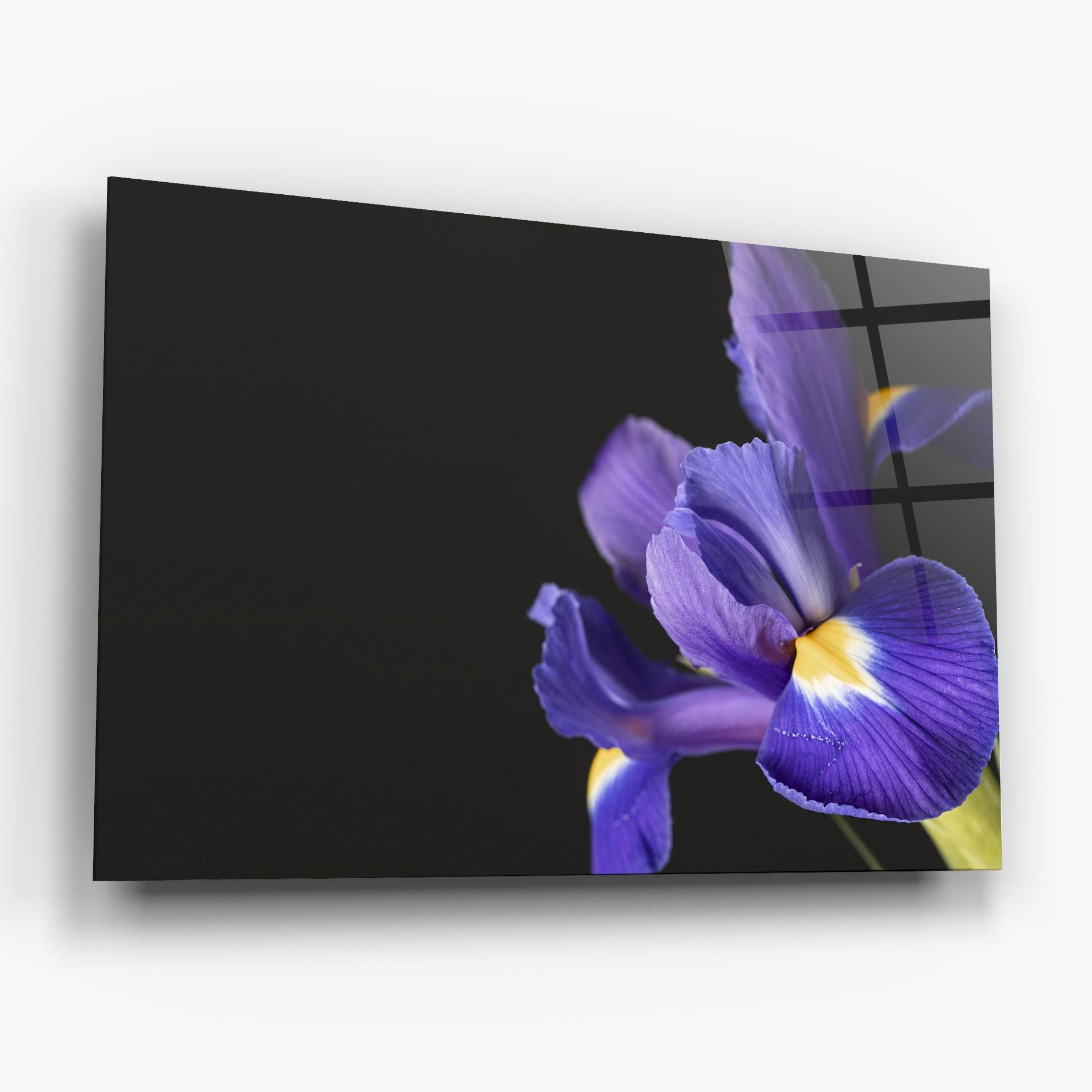 Iris On Black mockup 6