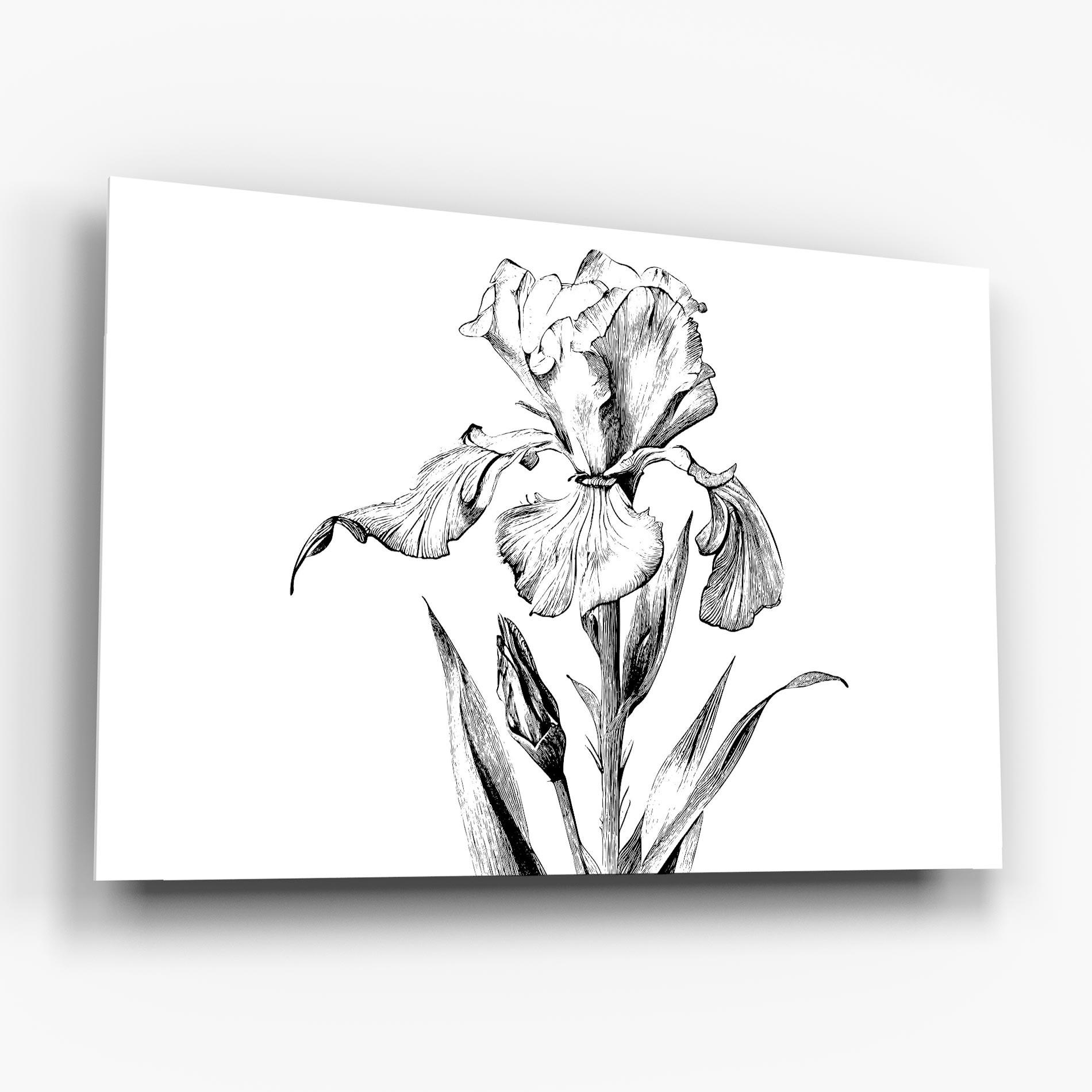Tablou Sticla Iris Sketch mockup 6