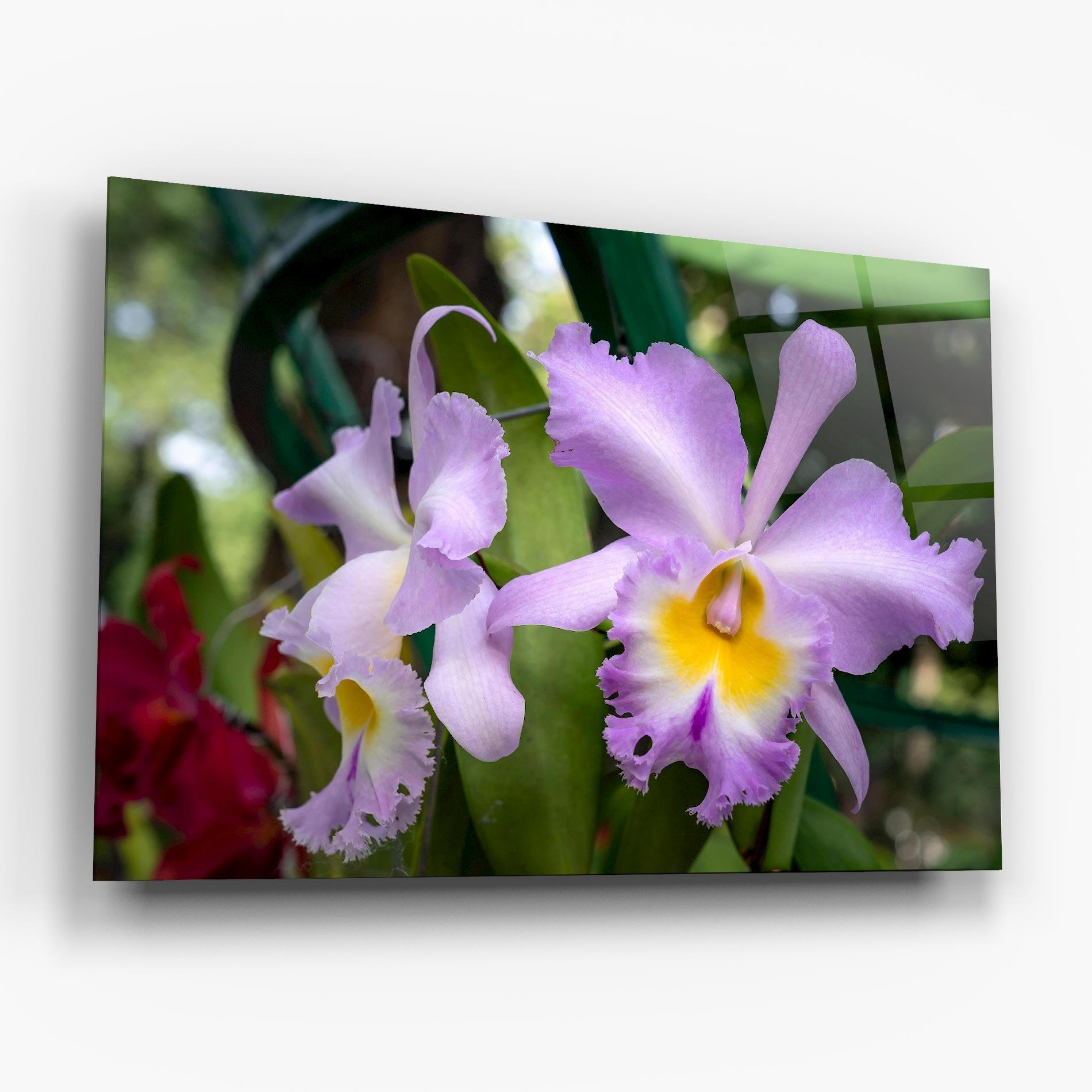 Tablou Sticla Light Purple Iris mockup 6