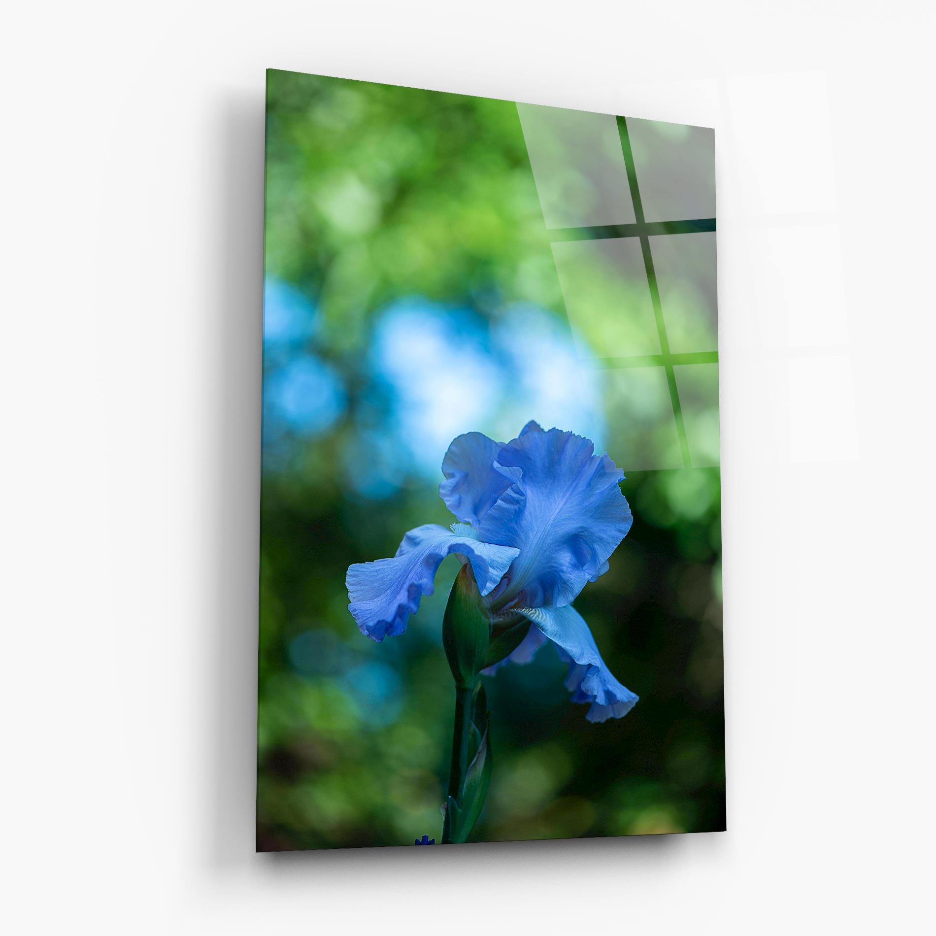 Tablou Sticla Blue Iris In The Garden mockup 6