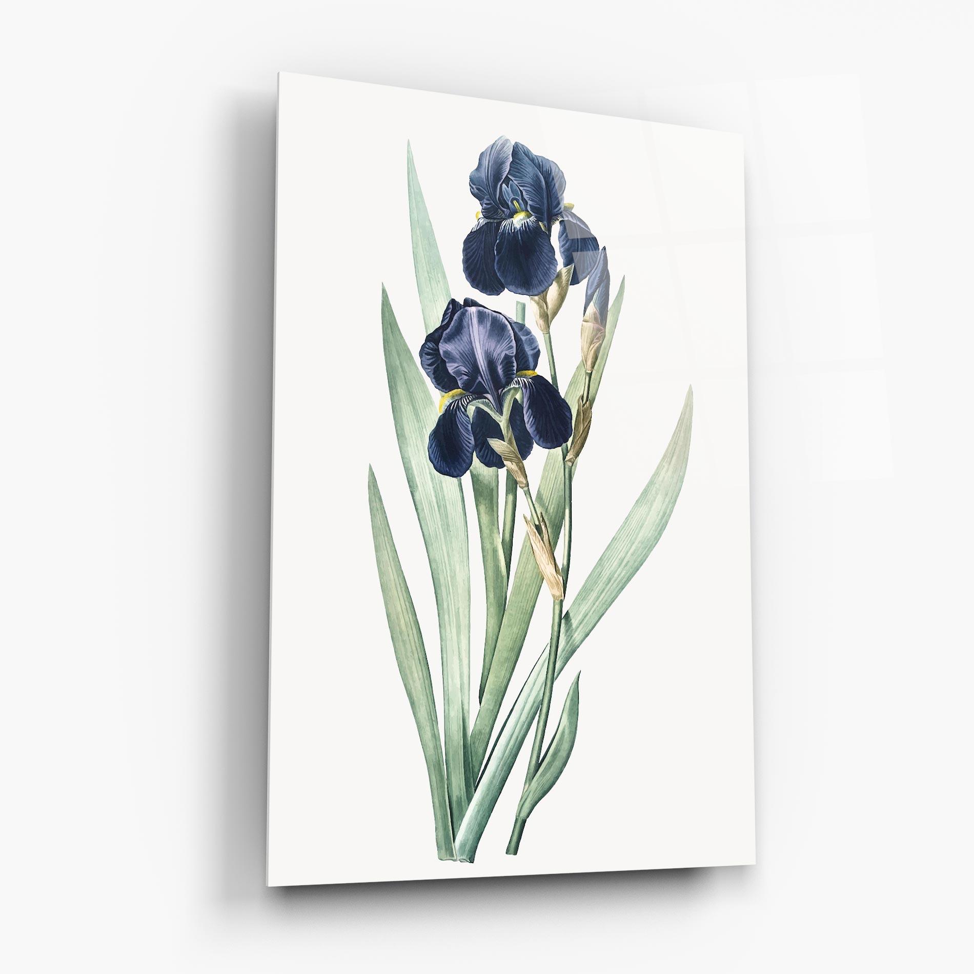 Tablou Sticla Dark Blue Iris mockup 6