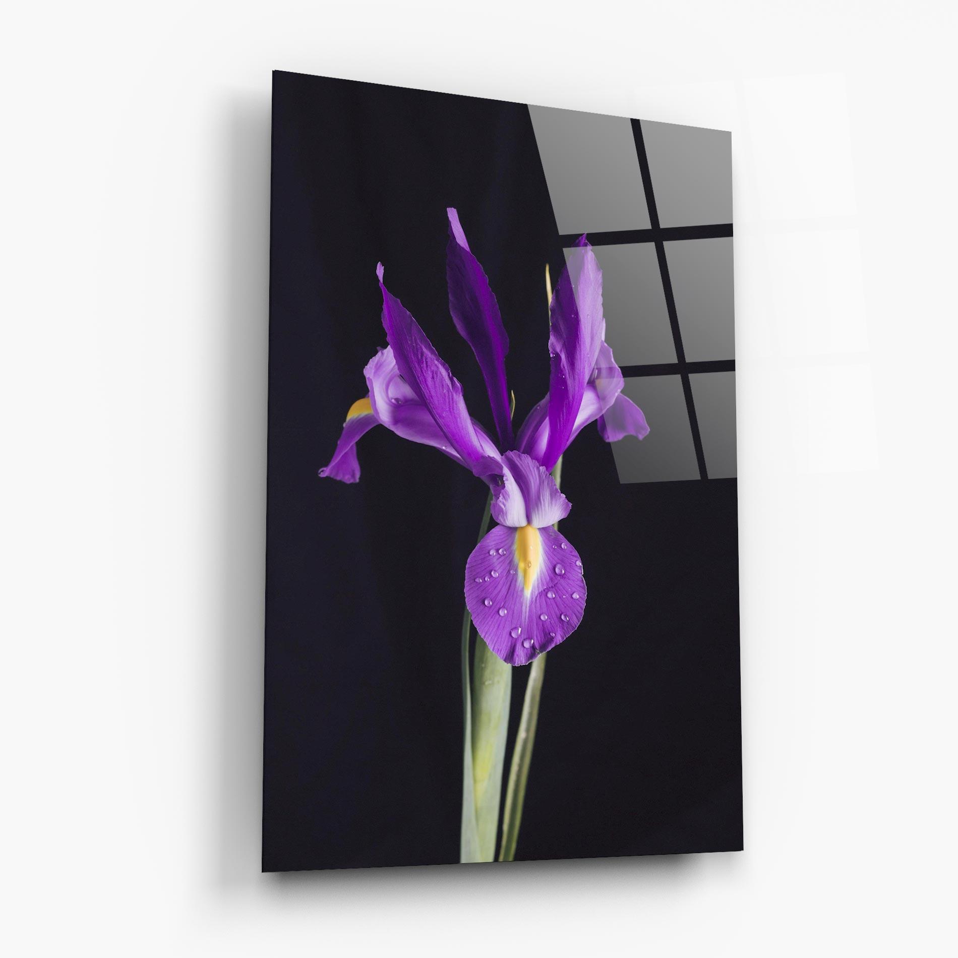 Tablou Sticla Fresh Purple Iris mockup 6