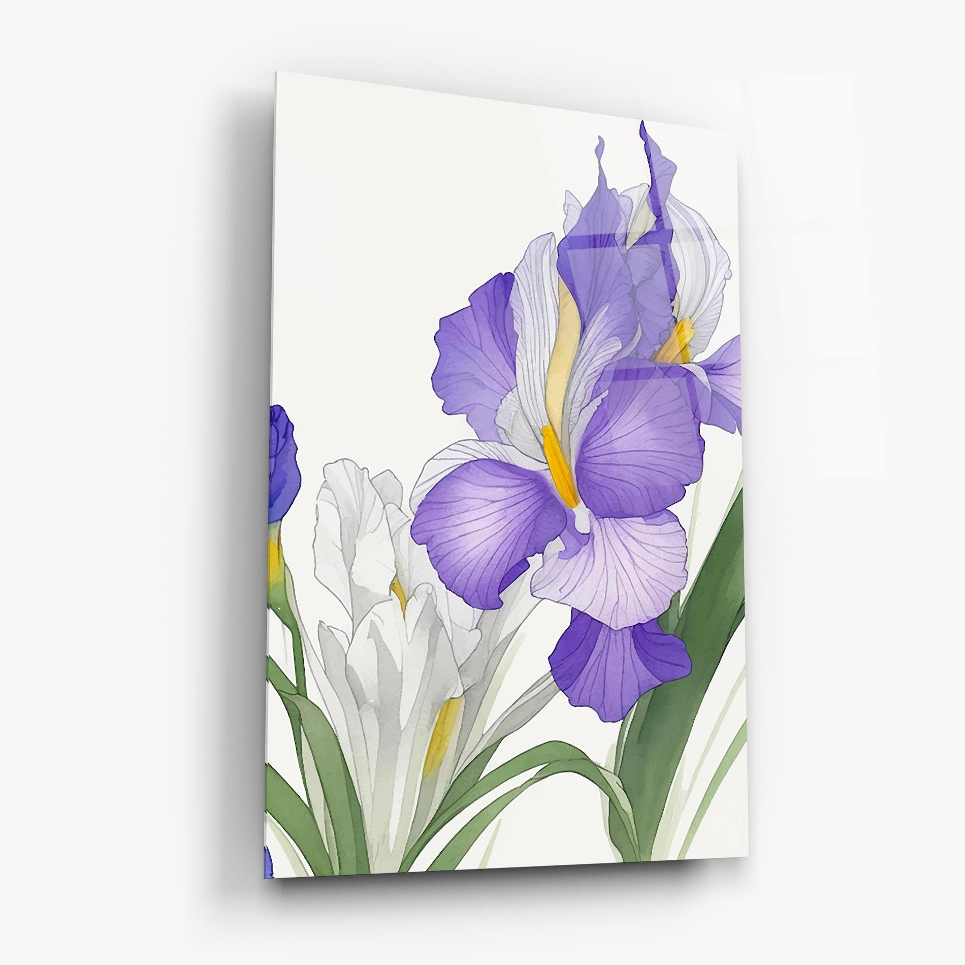 Irirs Hand Drawn mockup 6