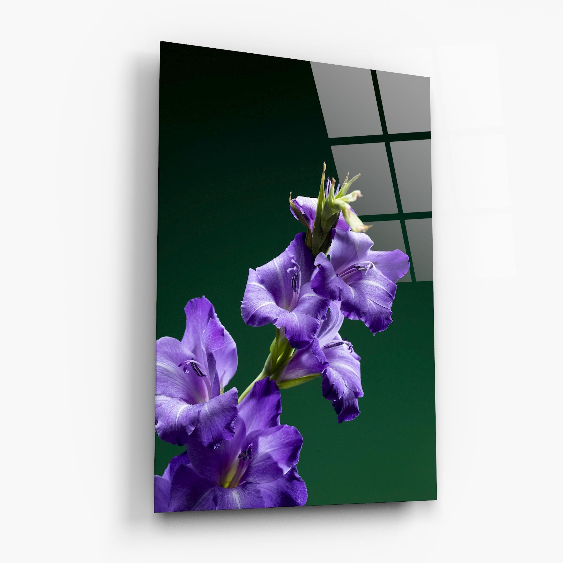 Iris On Green mockup 6