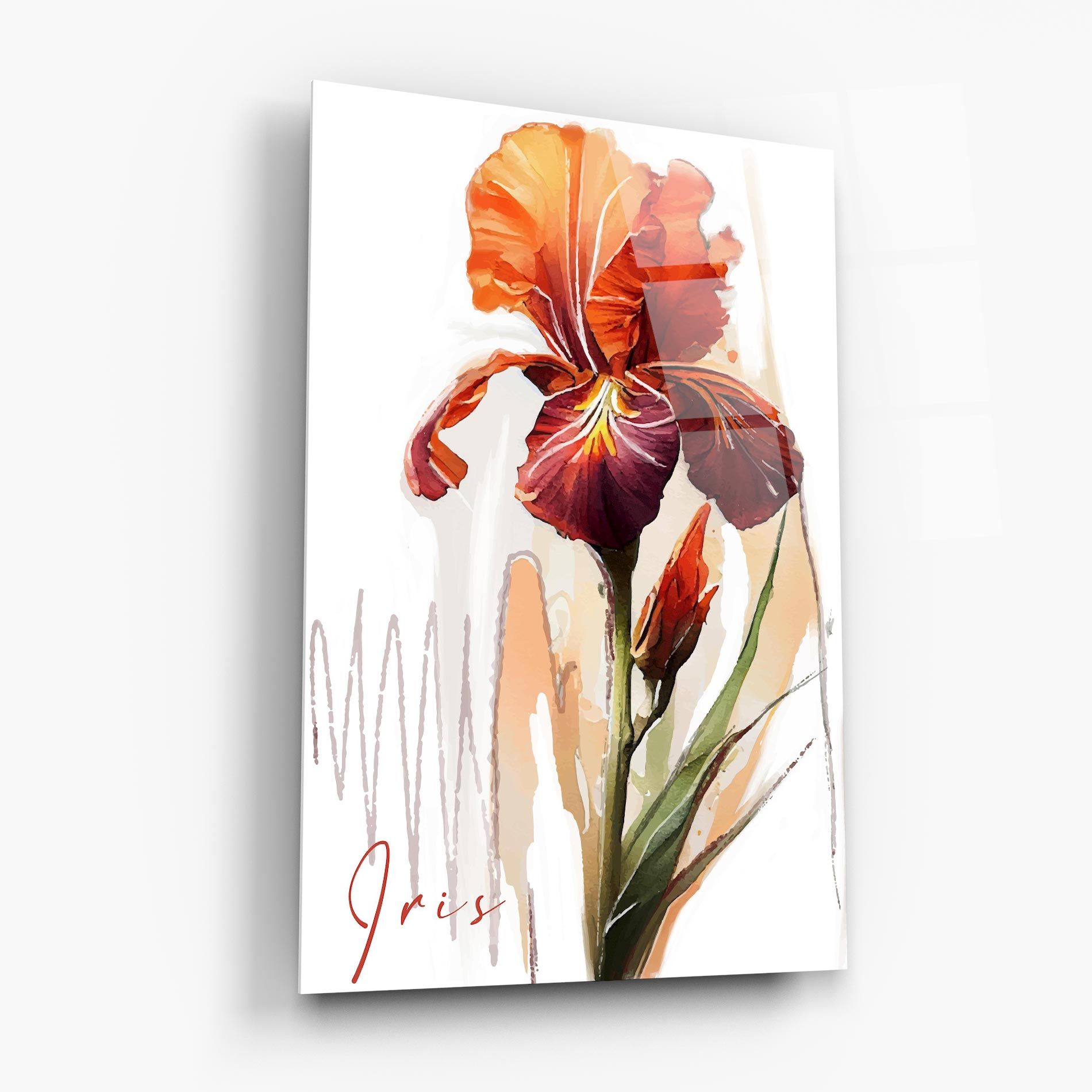 Orange Iris mockup 6