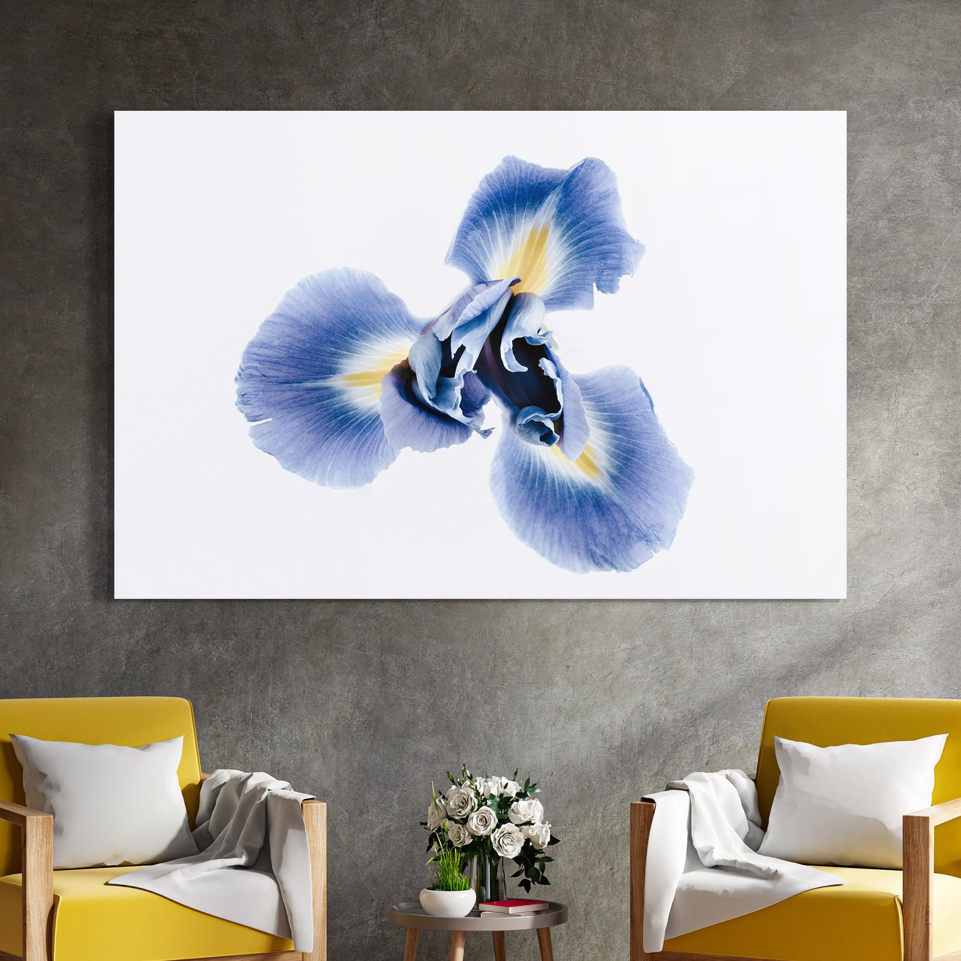 Tablou Sticla Iris Flower mockup 4