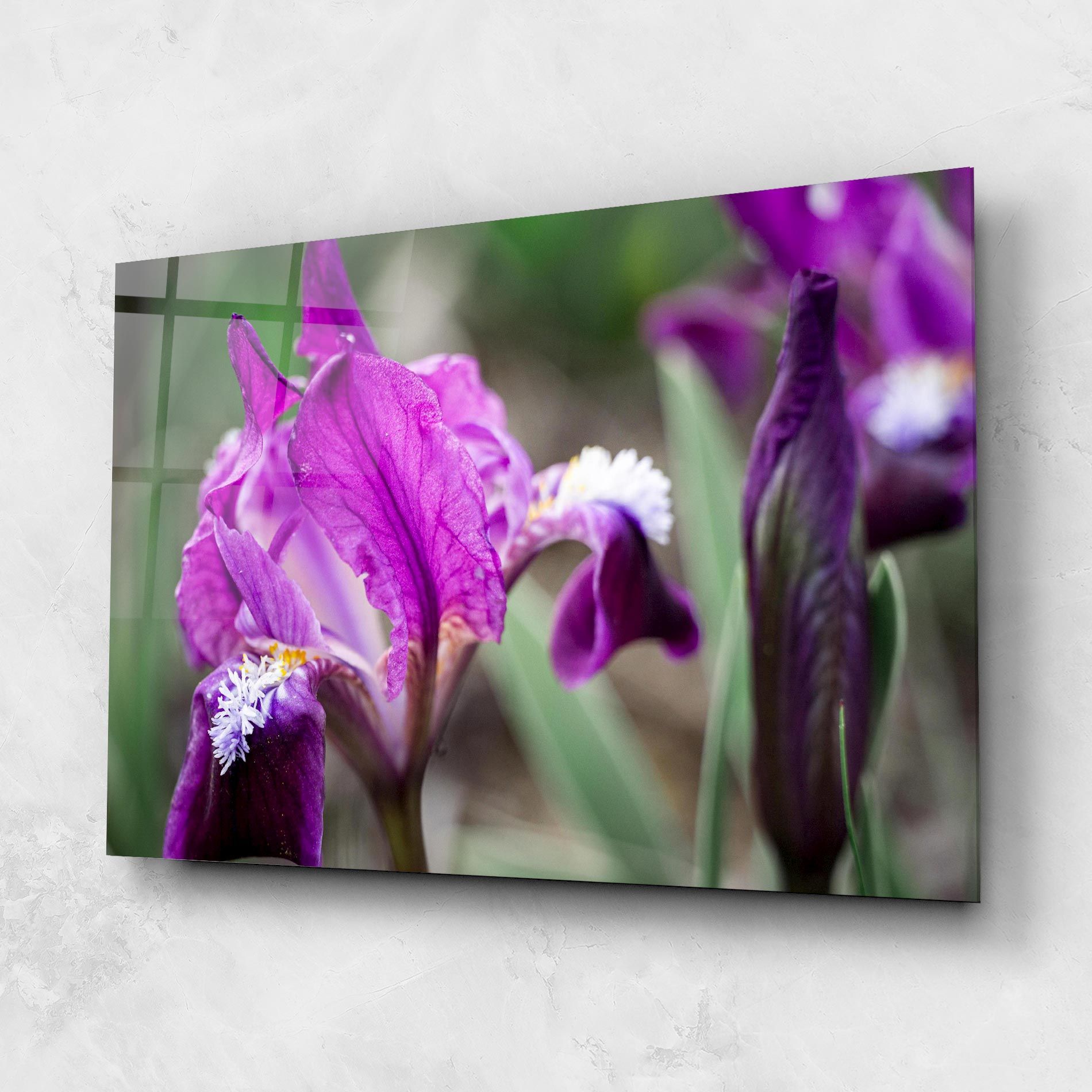 Dark Pink Iris mockup 1