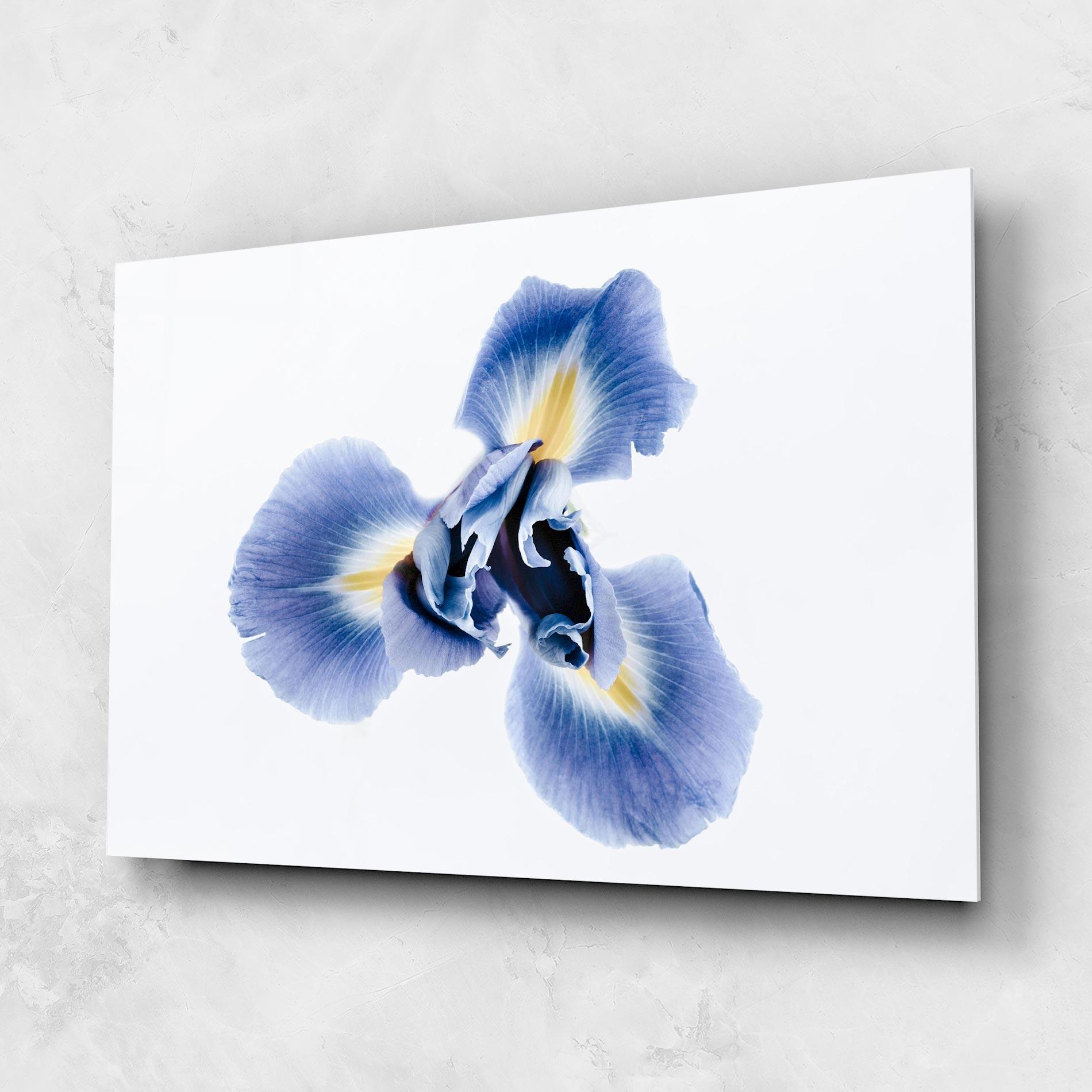 Tablou Sticla Iris Flower mockup 1