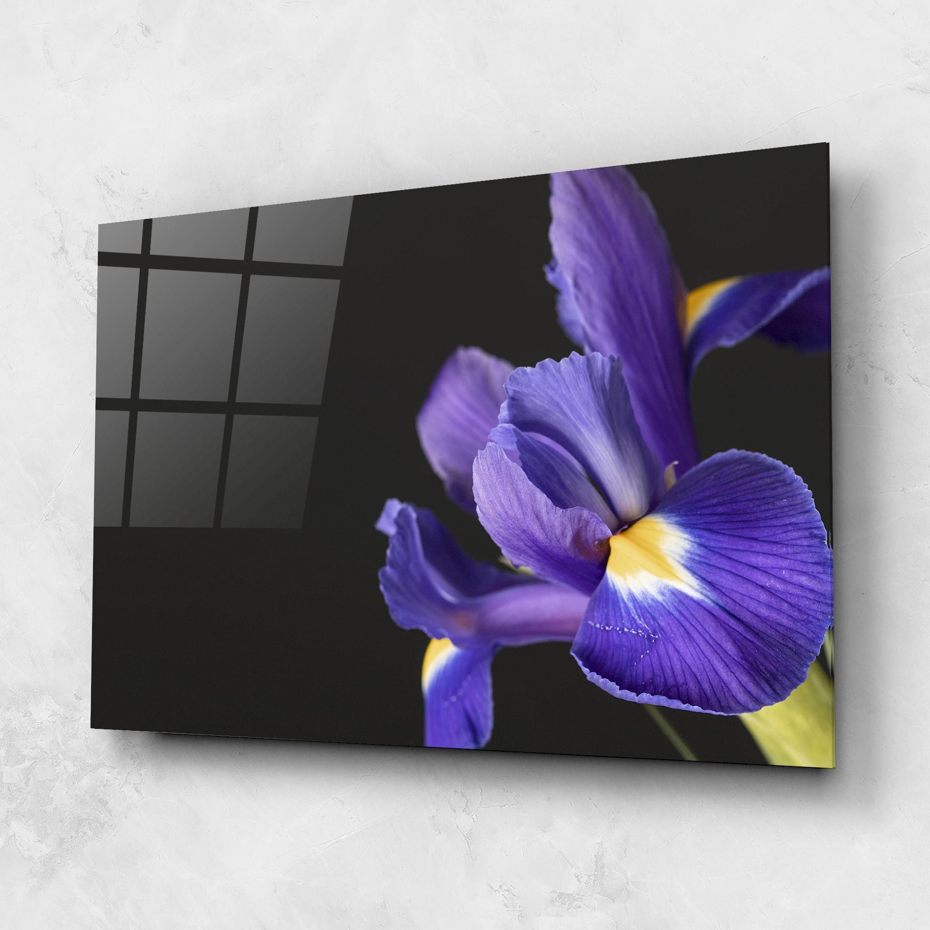 Iris On Black mockup 1