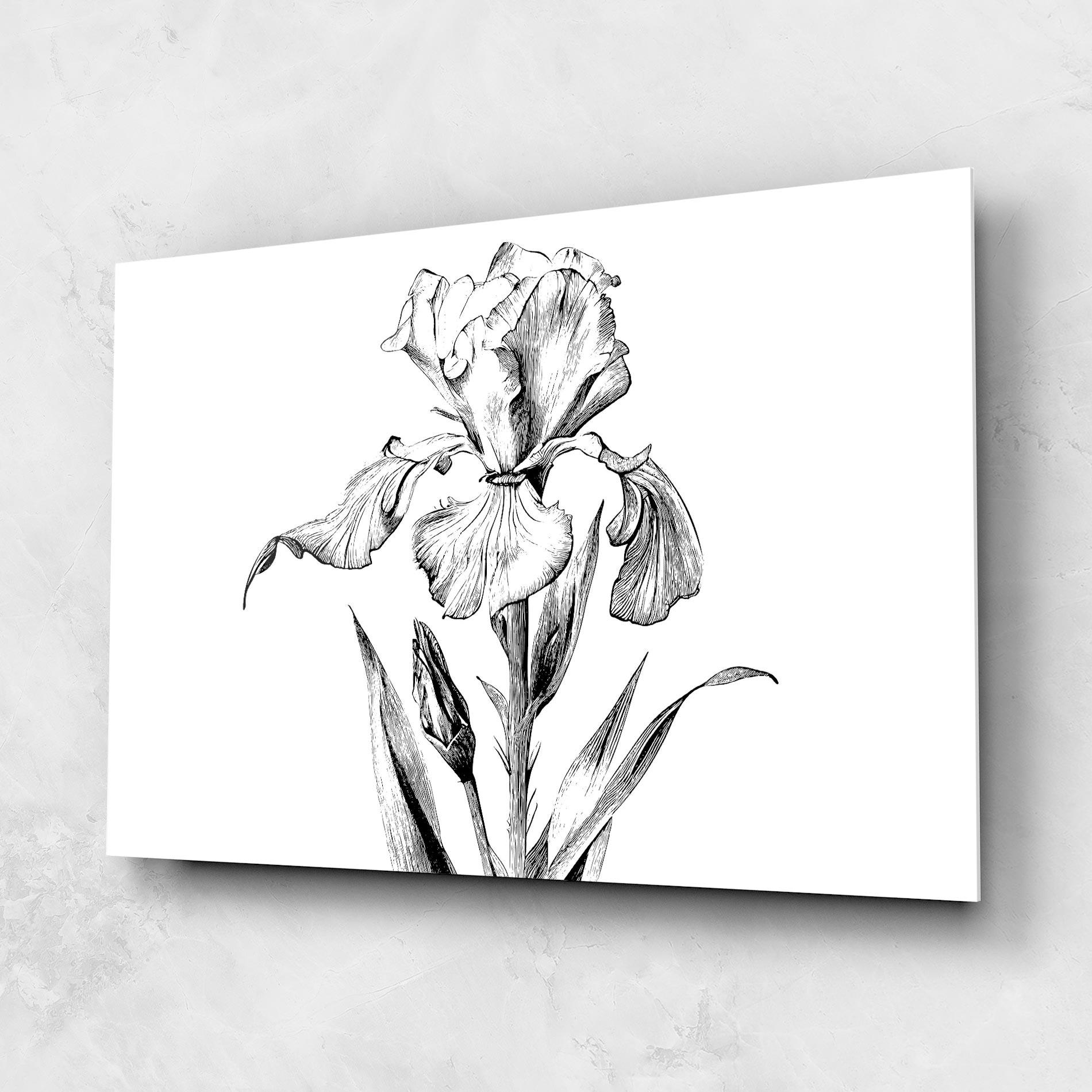 Tablou Sticla Iris Sketch mockup 1