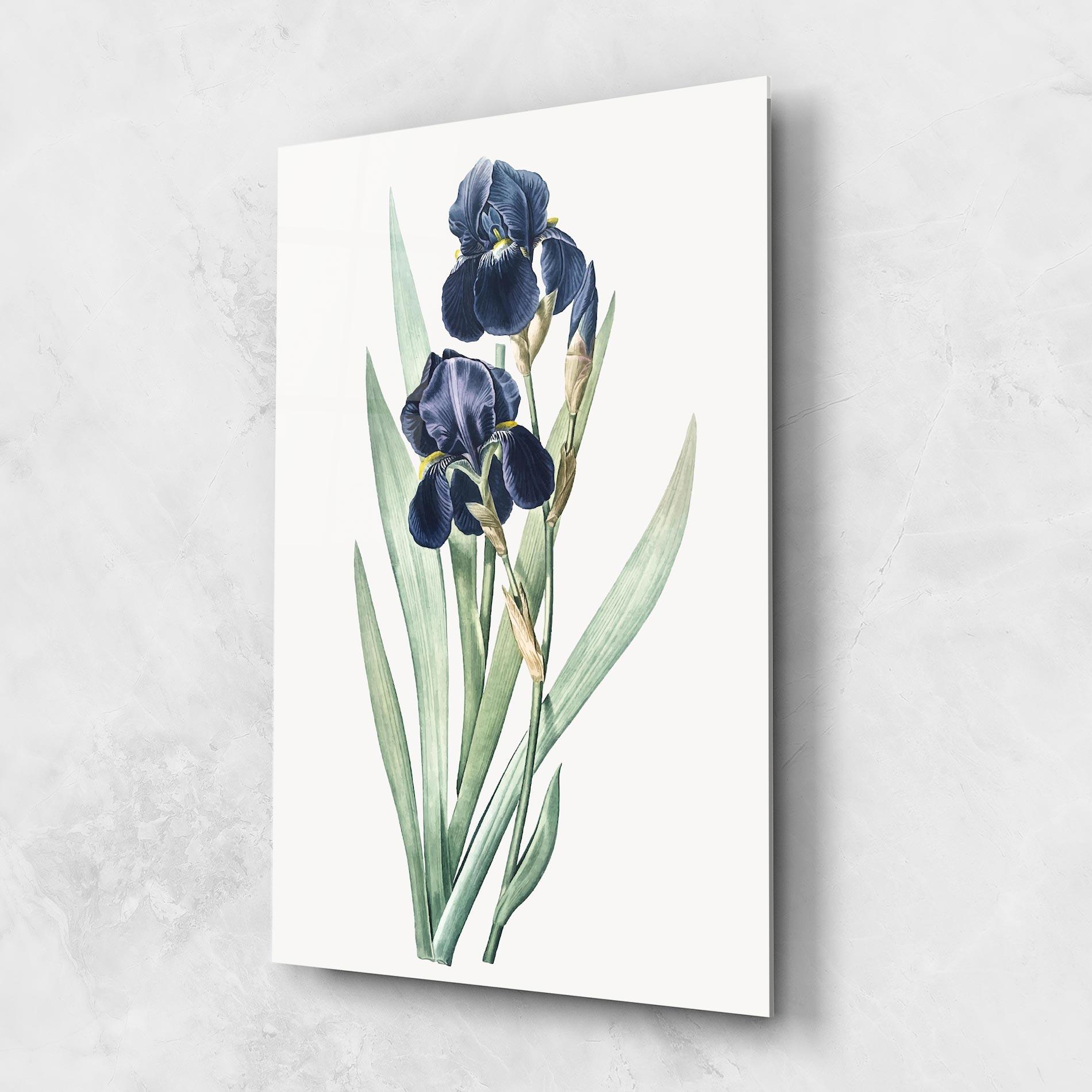 Tablou Sticla Dark Blue Iris mockup 1
