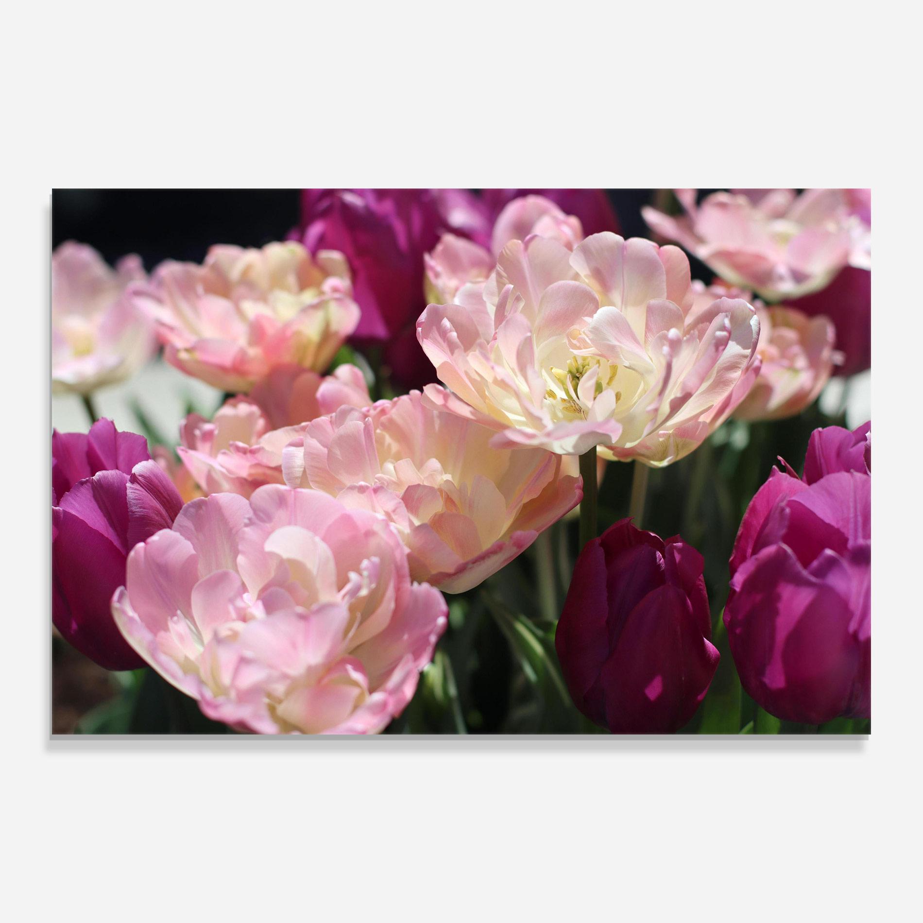 Tablou Sticla Opened Tulips mockup 0
