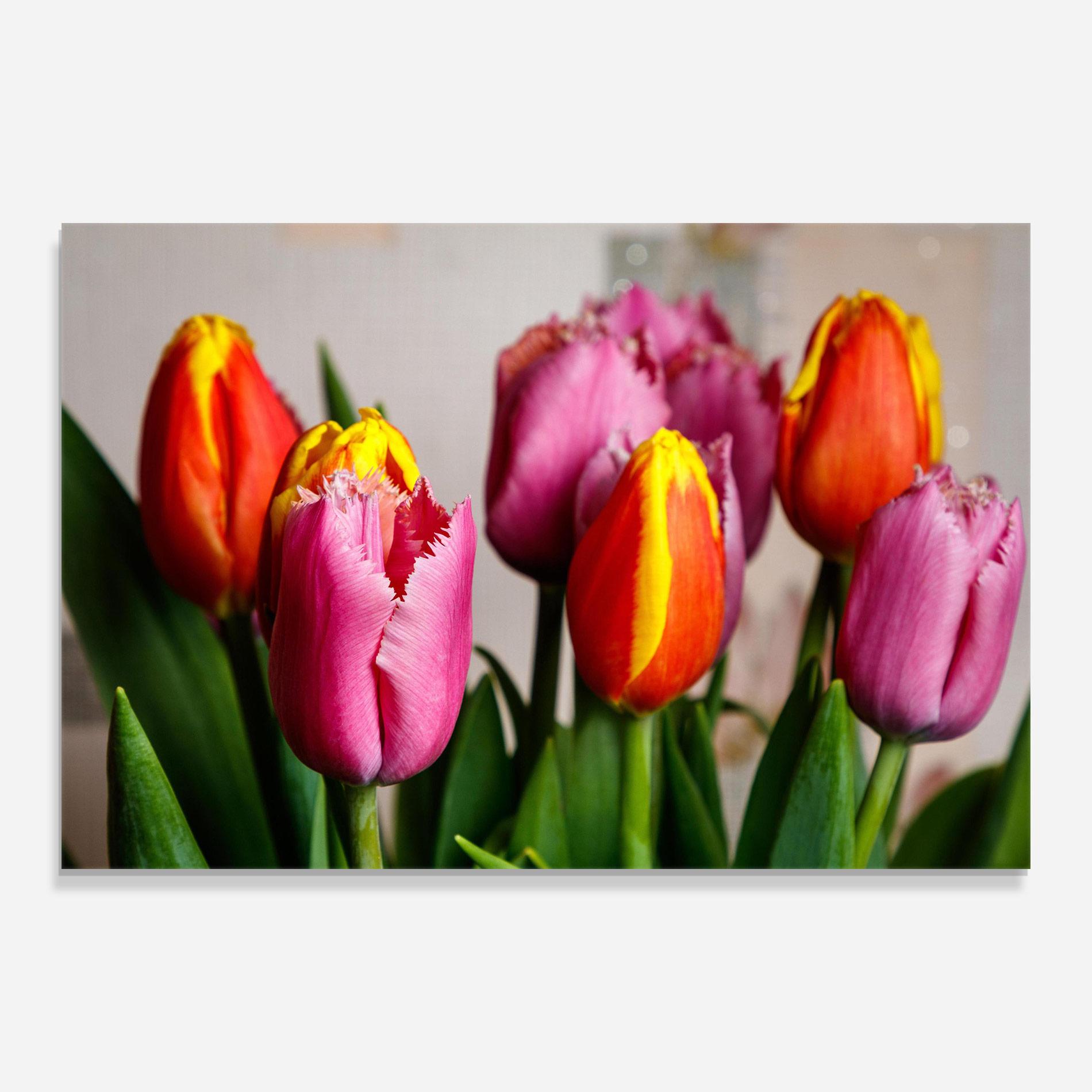 Tablou Sticla Pink Orange Tulips mockup 0