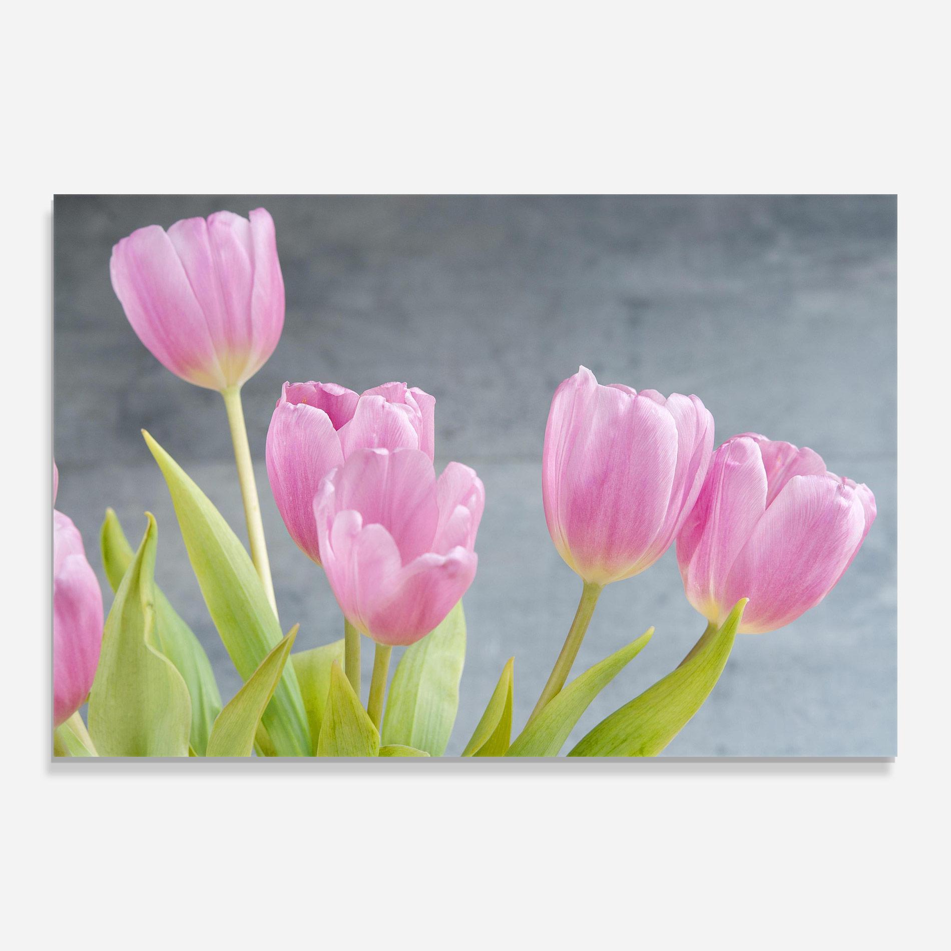 Tablou Sticla Pink Pastel Tulip On Grey mockup 0