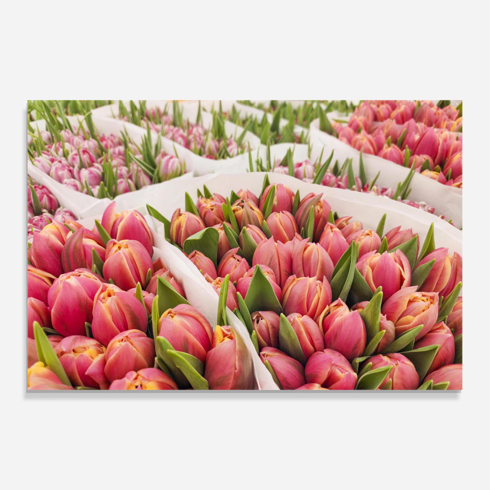 Tablou Sticla Pretty Pink Tulips Bouquet mockup 0