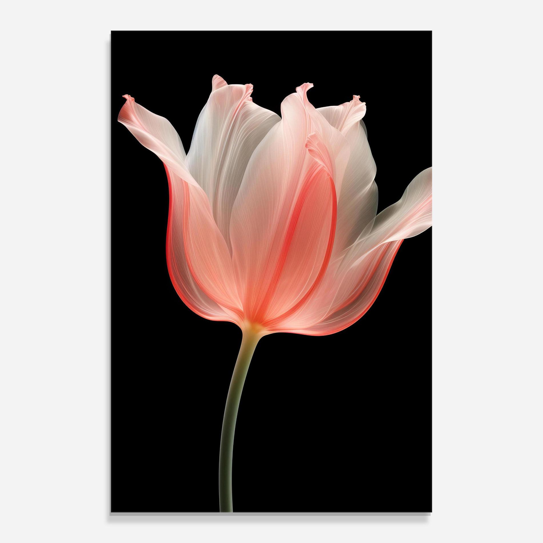 Tablou Sticla Pastel Pink Tulip mockup 0