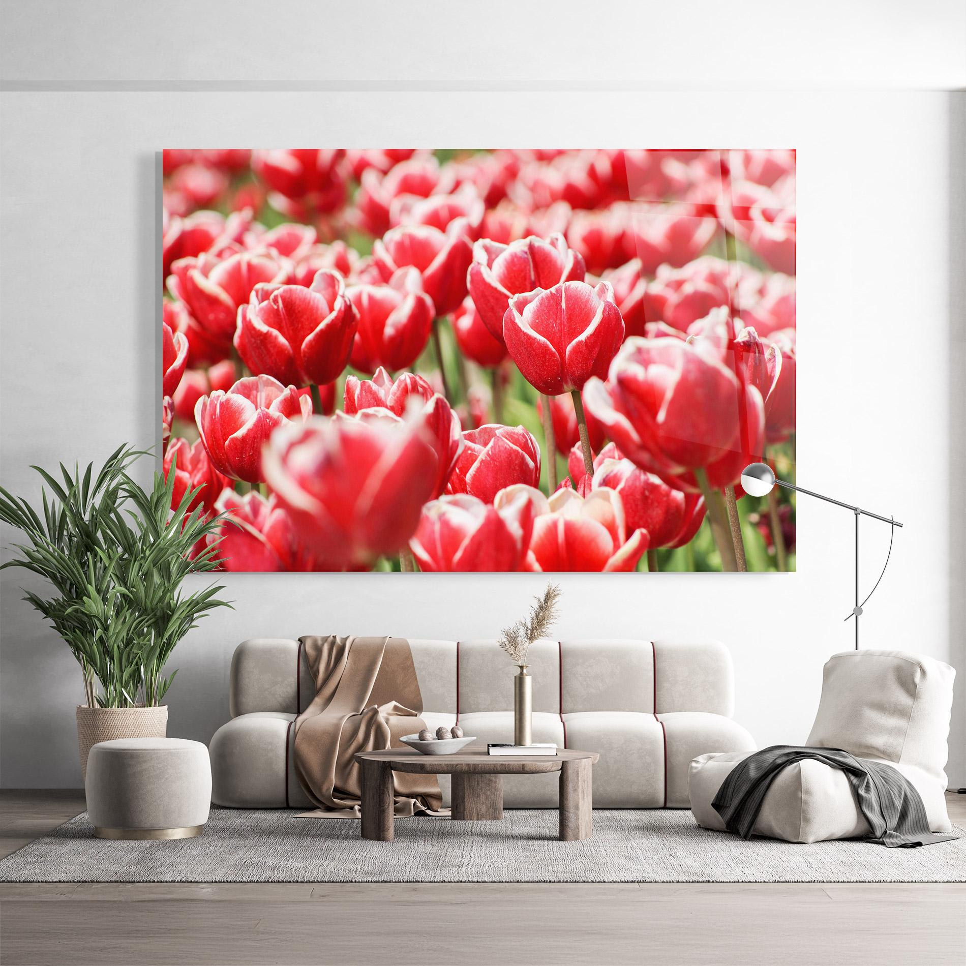 Tablou Sticla Red White Tulips mockup 9