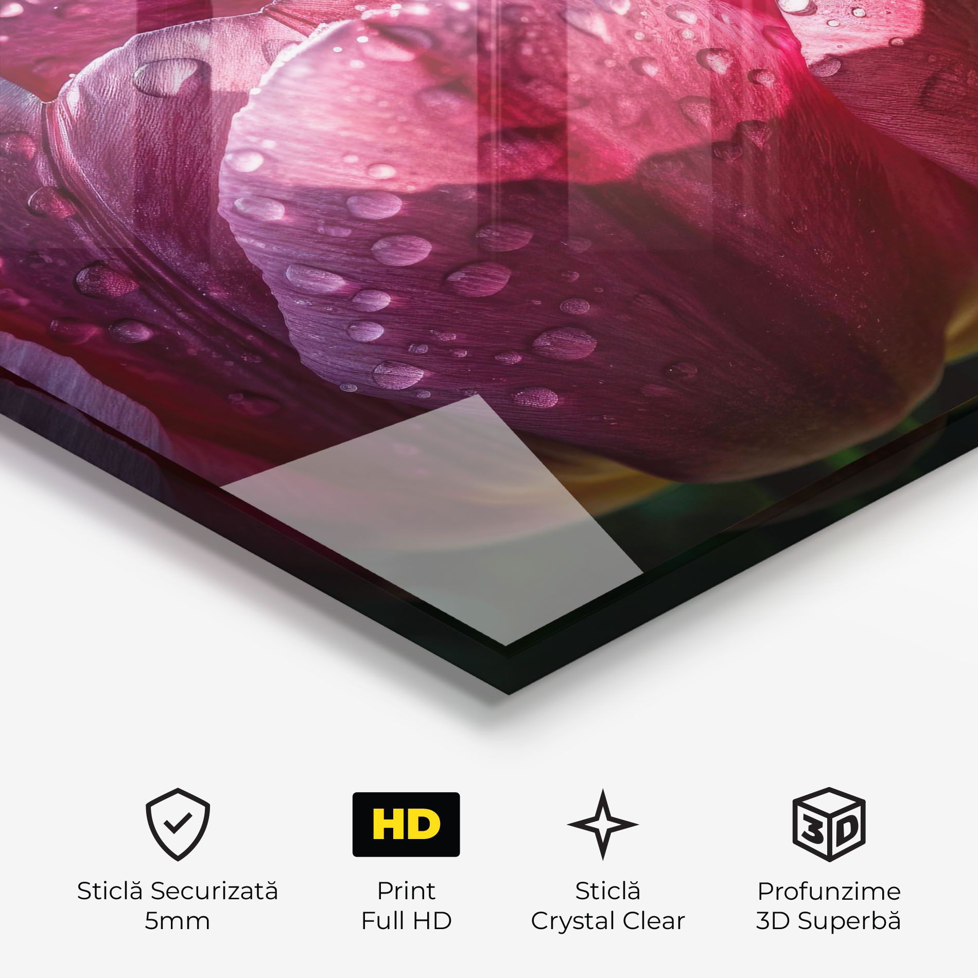 Pink Tulip After Rain mockup 3