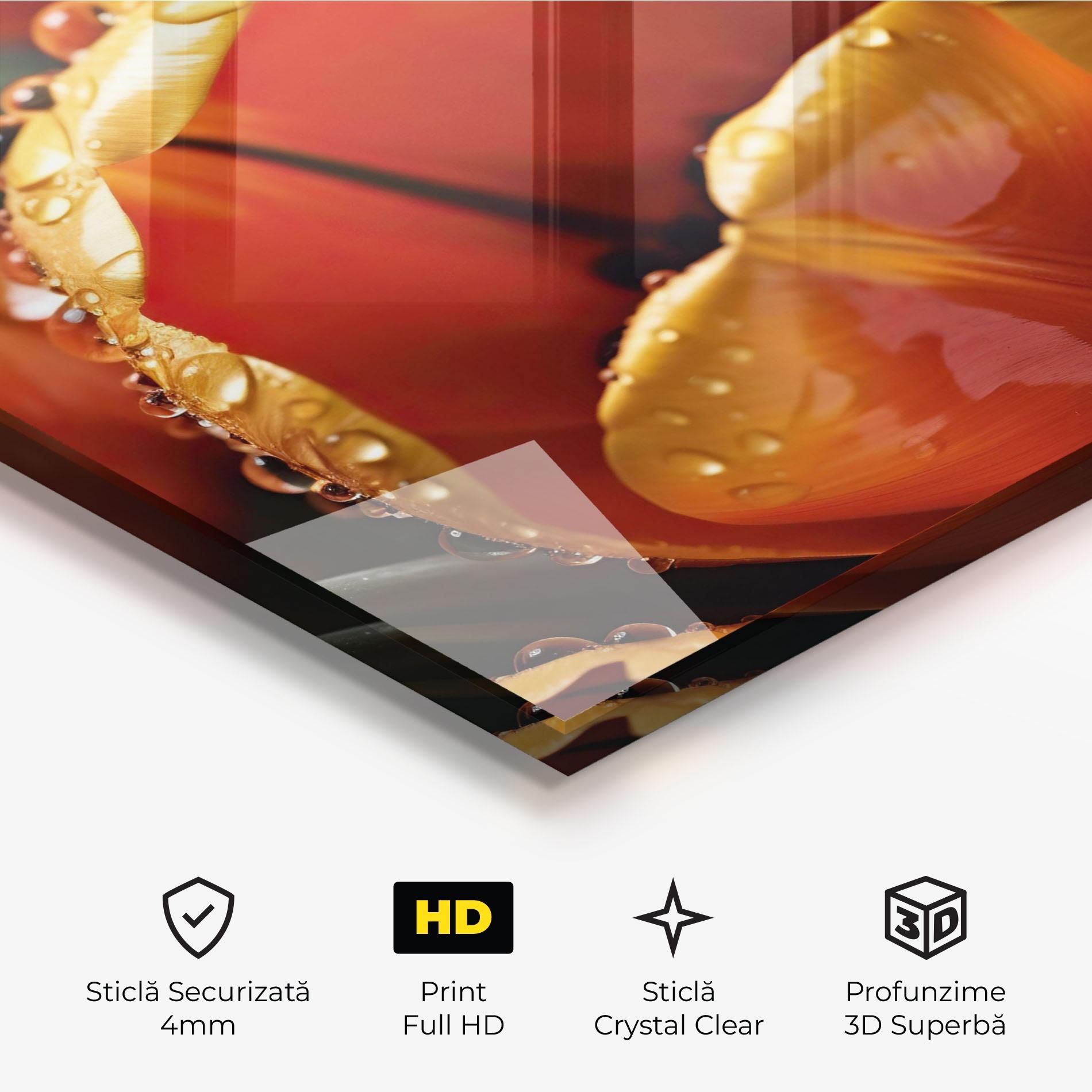 Tablou Sticla Orange Tulip Water Drops mockup 3
