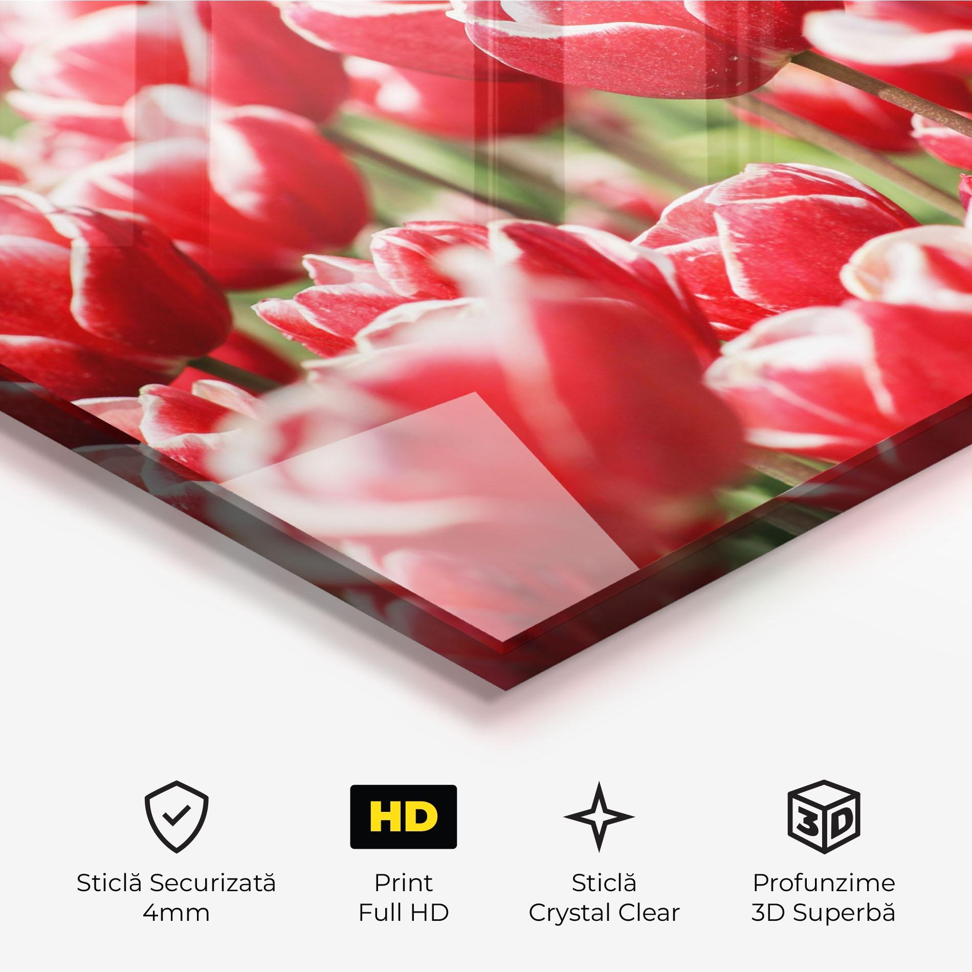 Tablou Sticla Red White Tulips mockup 3