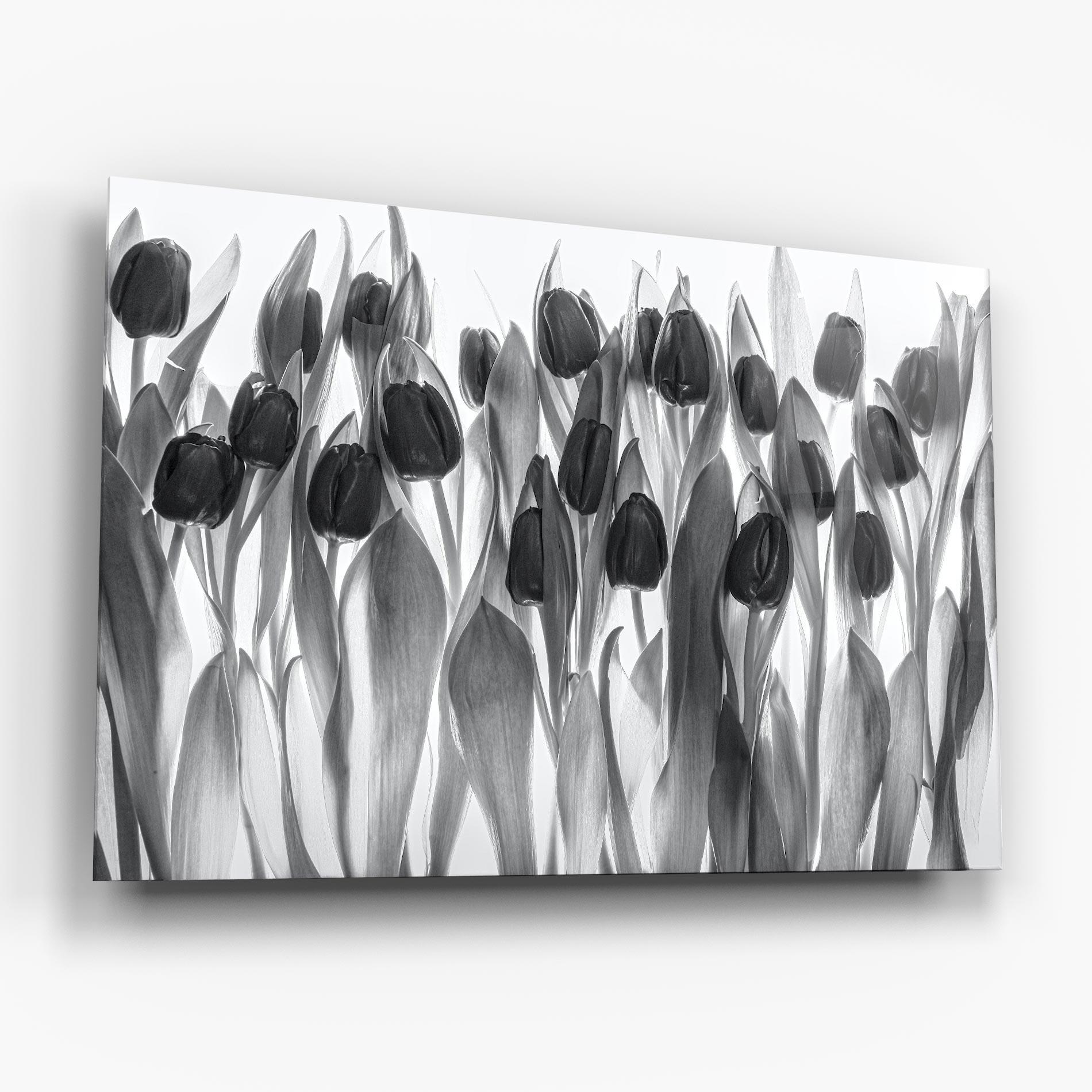 Tablou Sticla Grey Tulips mockup 6