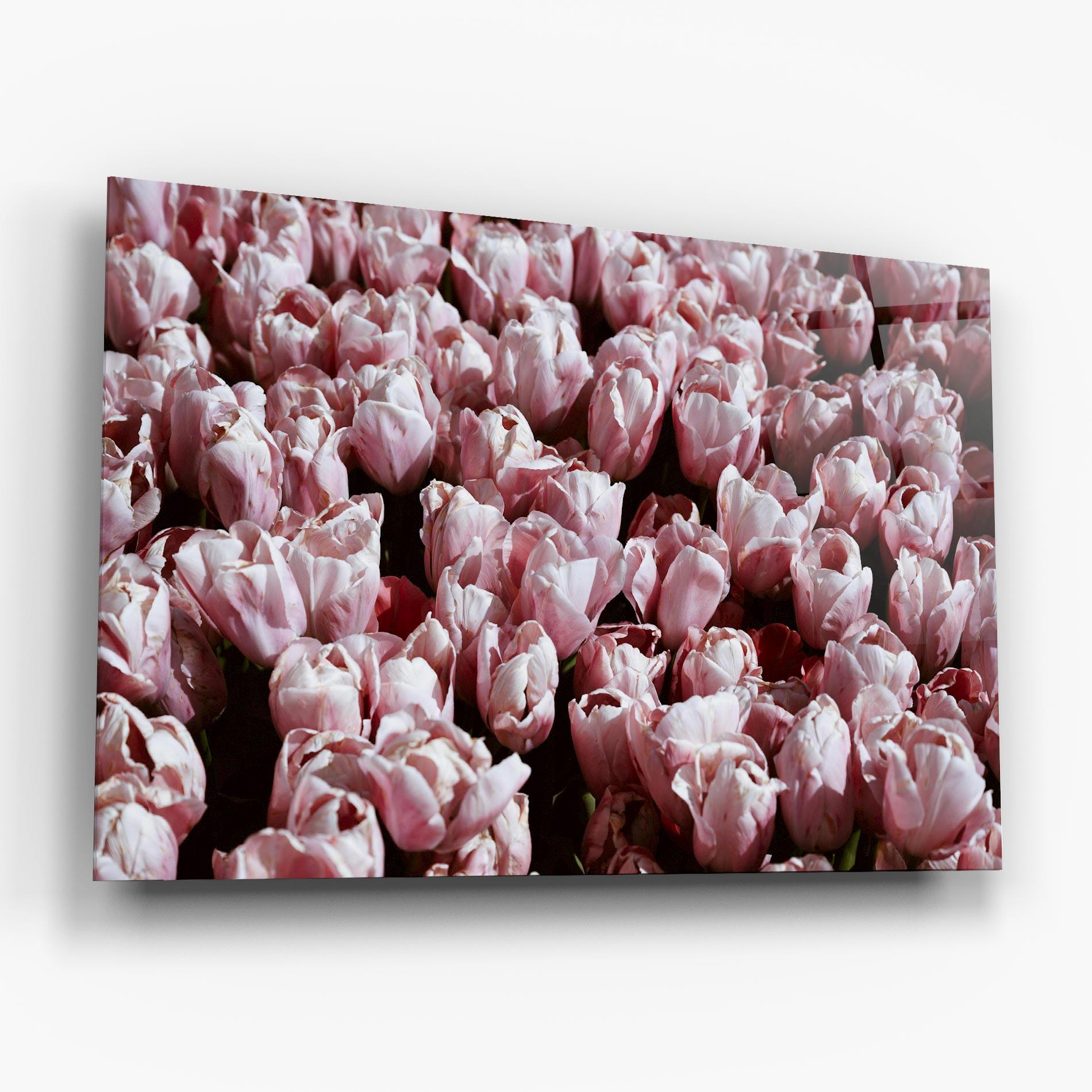 Tablou Sticla Pastel Pink Tulips Wall mockup 6