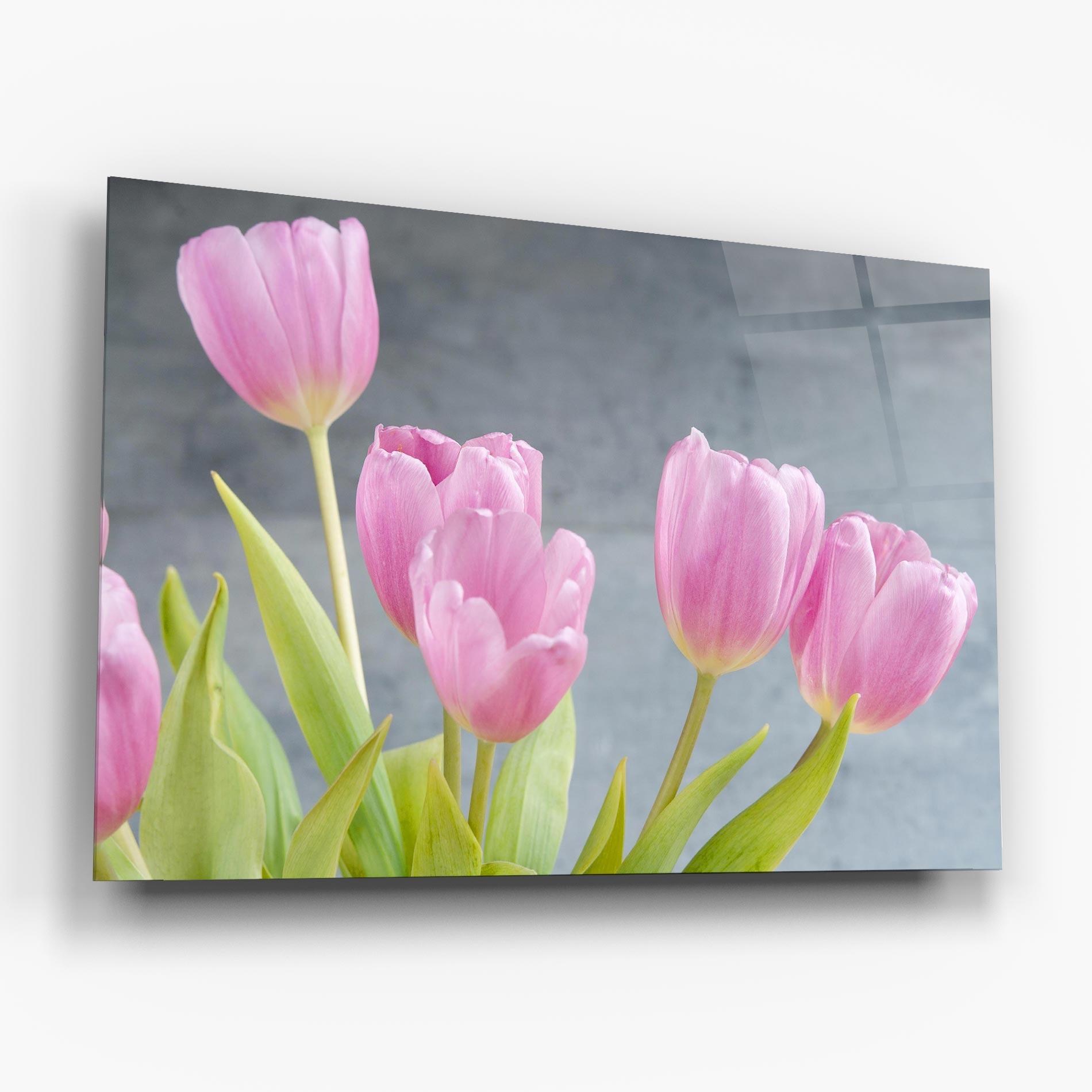 Tablou Sticla Pink Pastel Tulip On Grey mockup 6